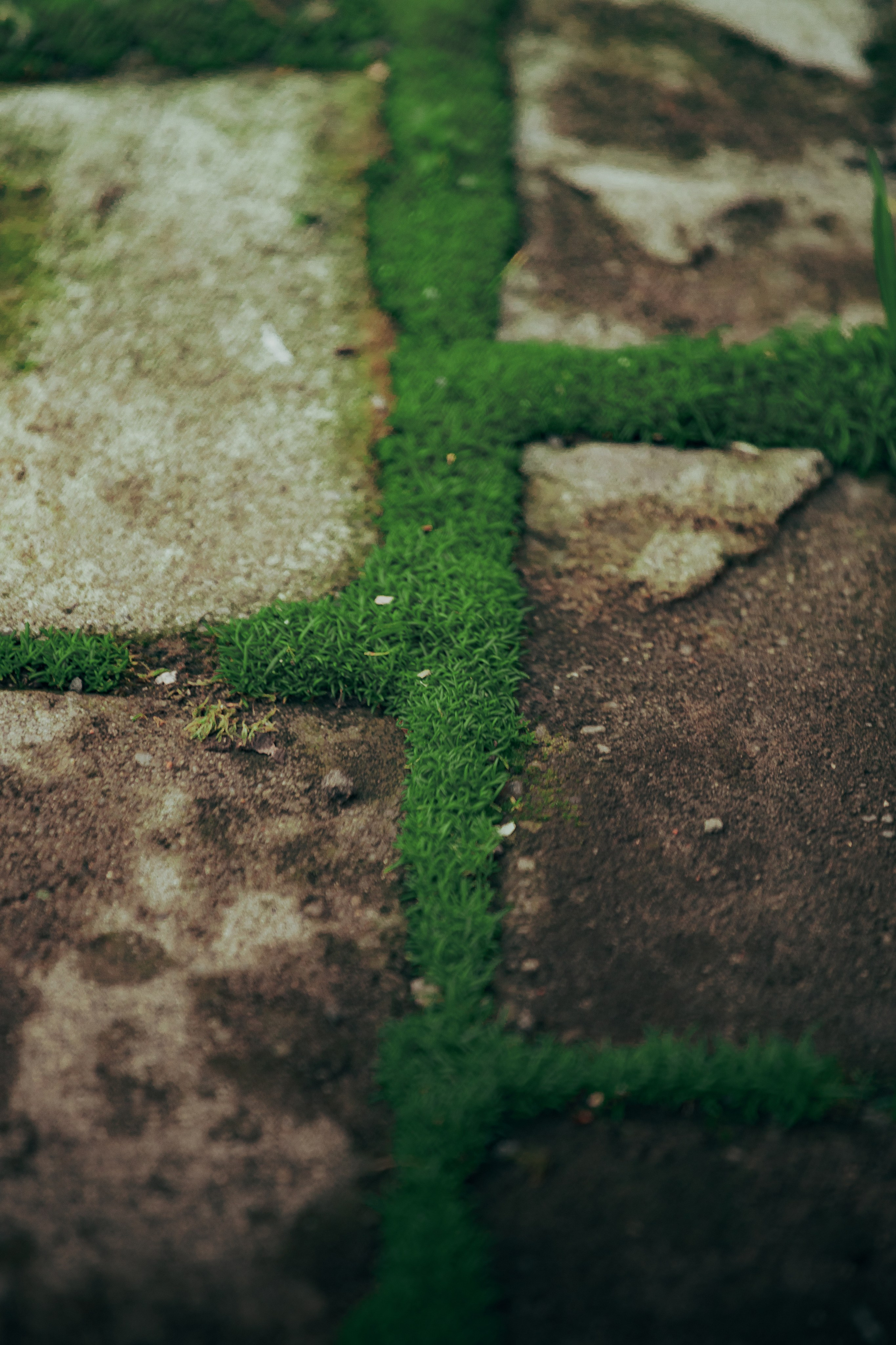 Стрит фотография Владивосток, Россия. Mood цвета, обработка, уроки, пресеты