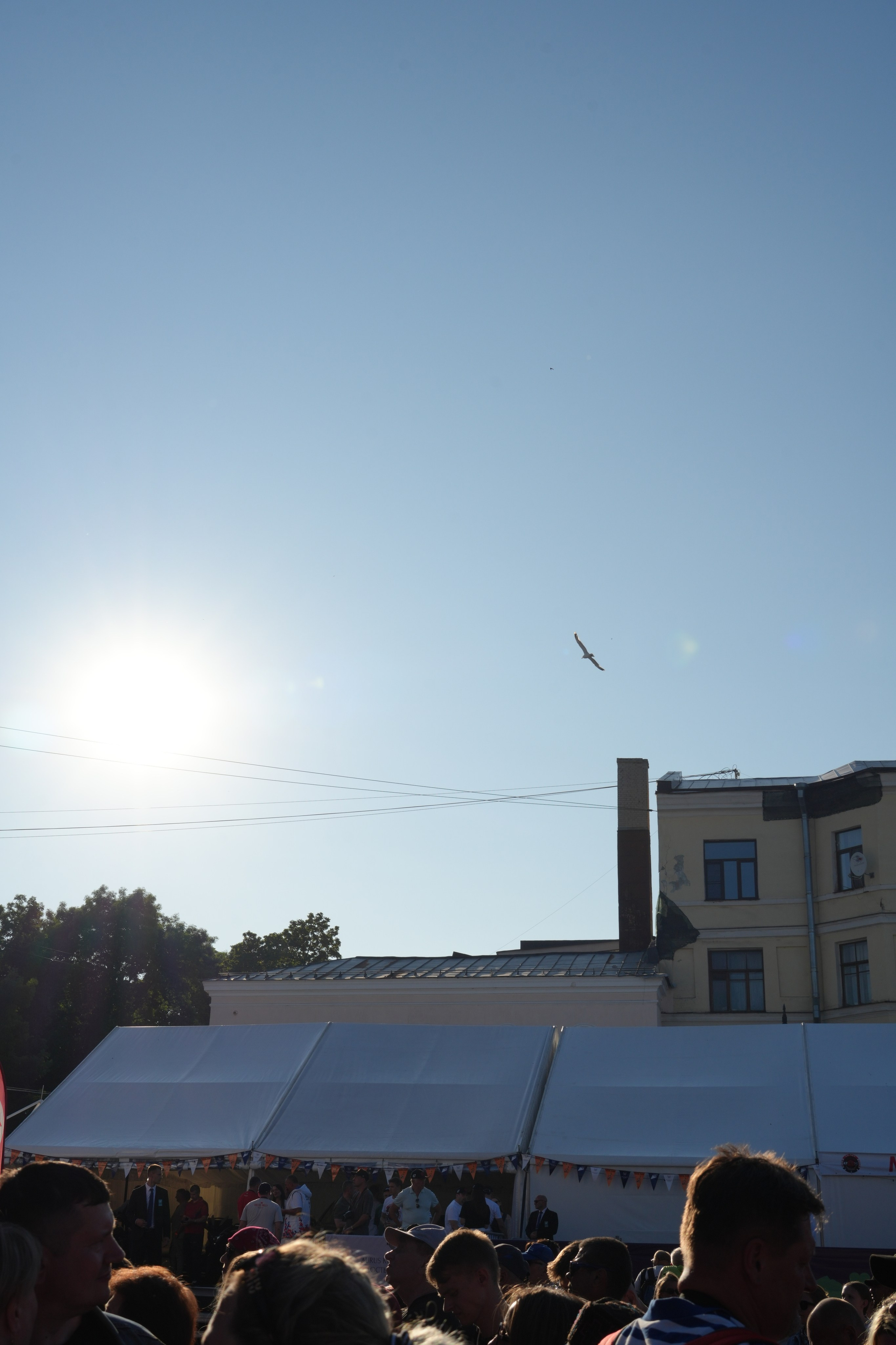 БАЛТИК РАЛЛИ Выборг 2025. Портретный фотограф в Санкт-Петербурге Дмитриева Наталия