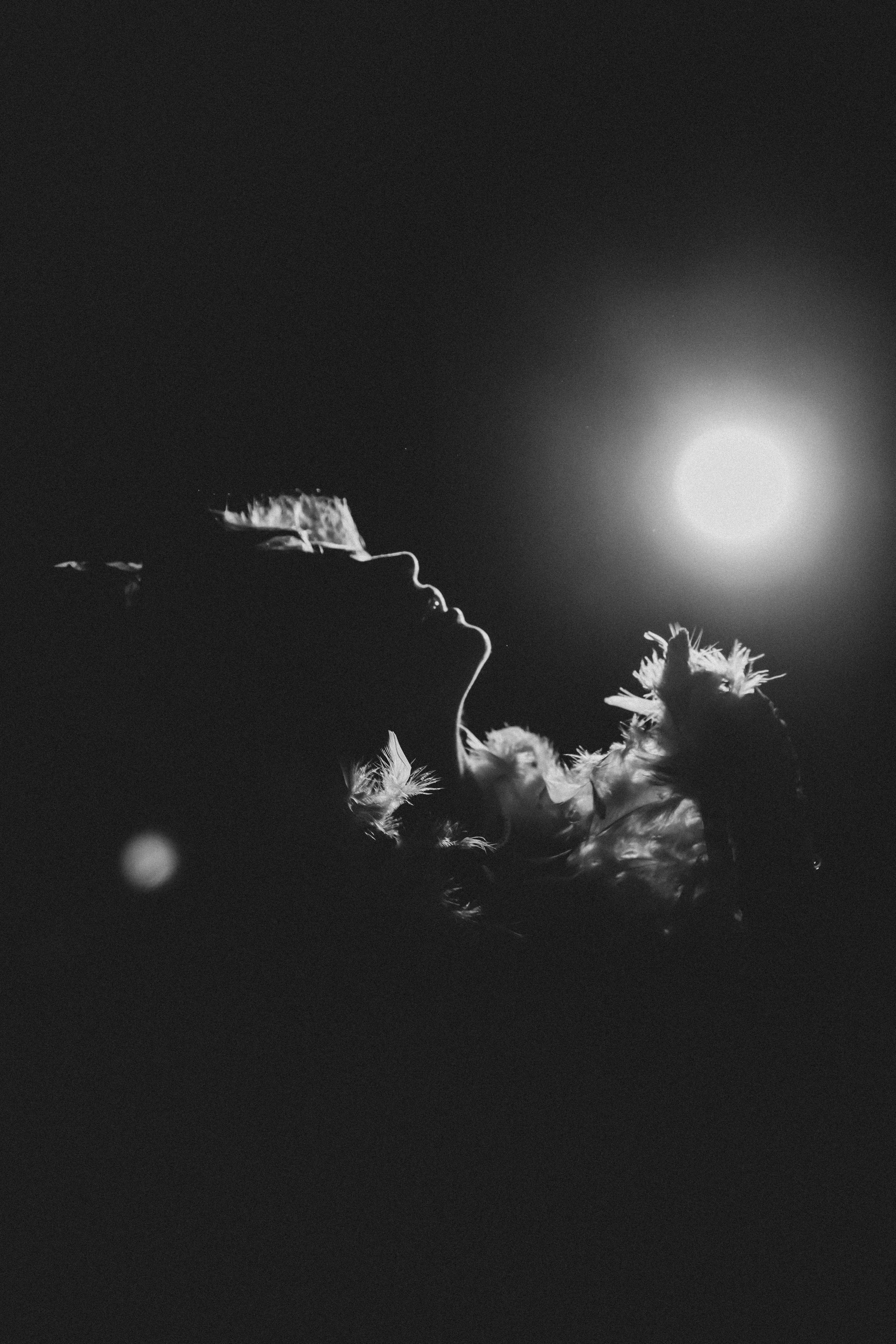 Мои работы. Fashion фотограф в Москве Евгений Котельников