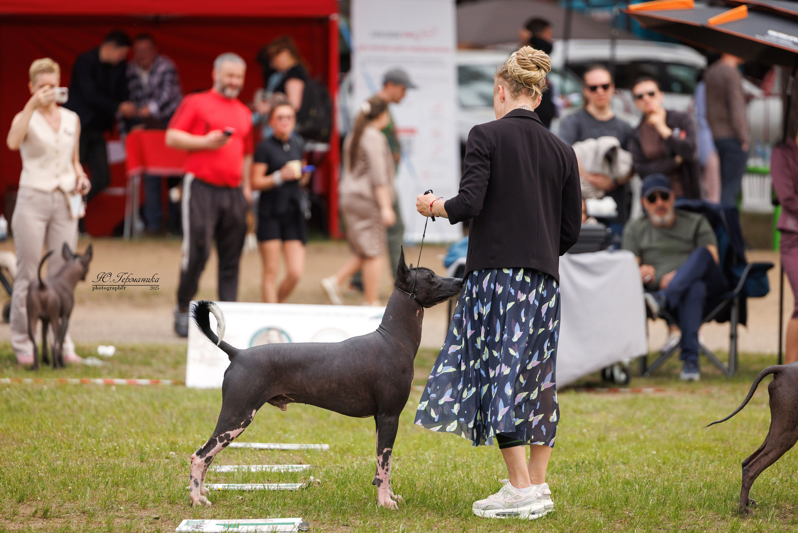 Суздаль(Владимир)17-18.05.2025. Фотограф-анималист Юлия Германика