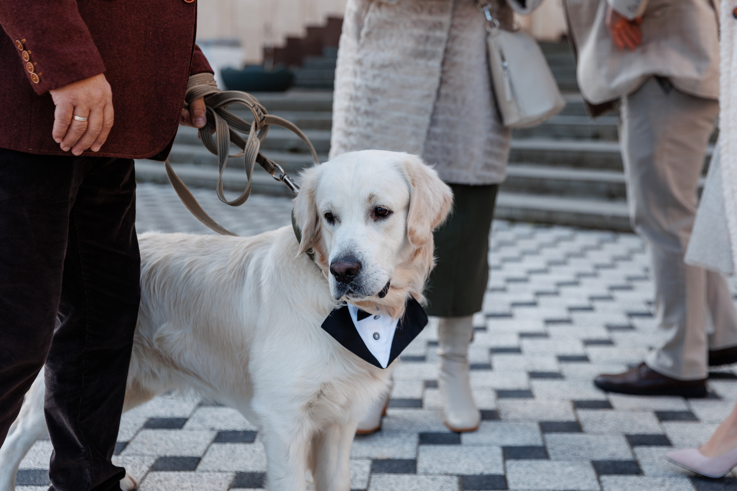 Отель Куприн. Анонс свадьбы Аллы и Александра. Свадебный фотограф в Крыму и Севастополе Ольга Баскакова