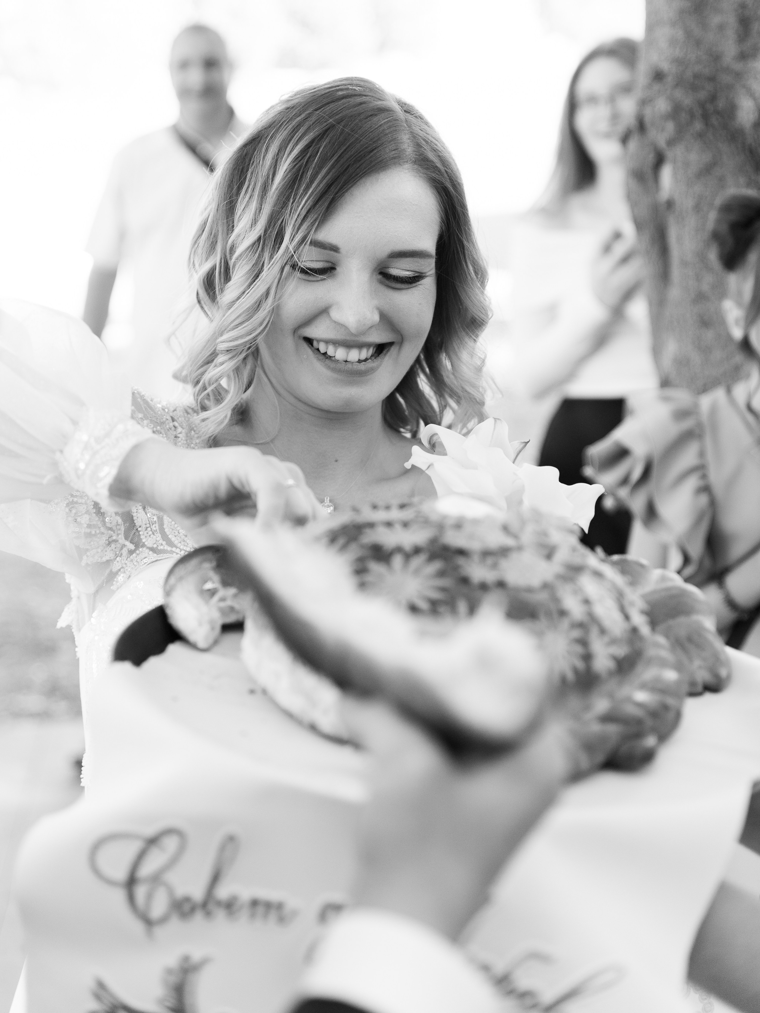 Большой репортаж со свадьбы прекрасных Саши и Кирилла. Фотограф, видеограф -Александр Антонян