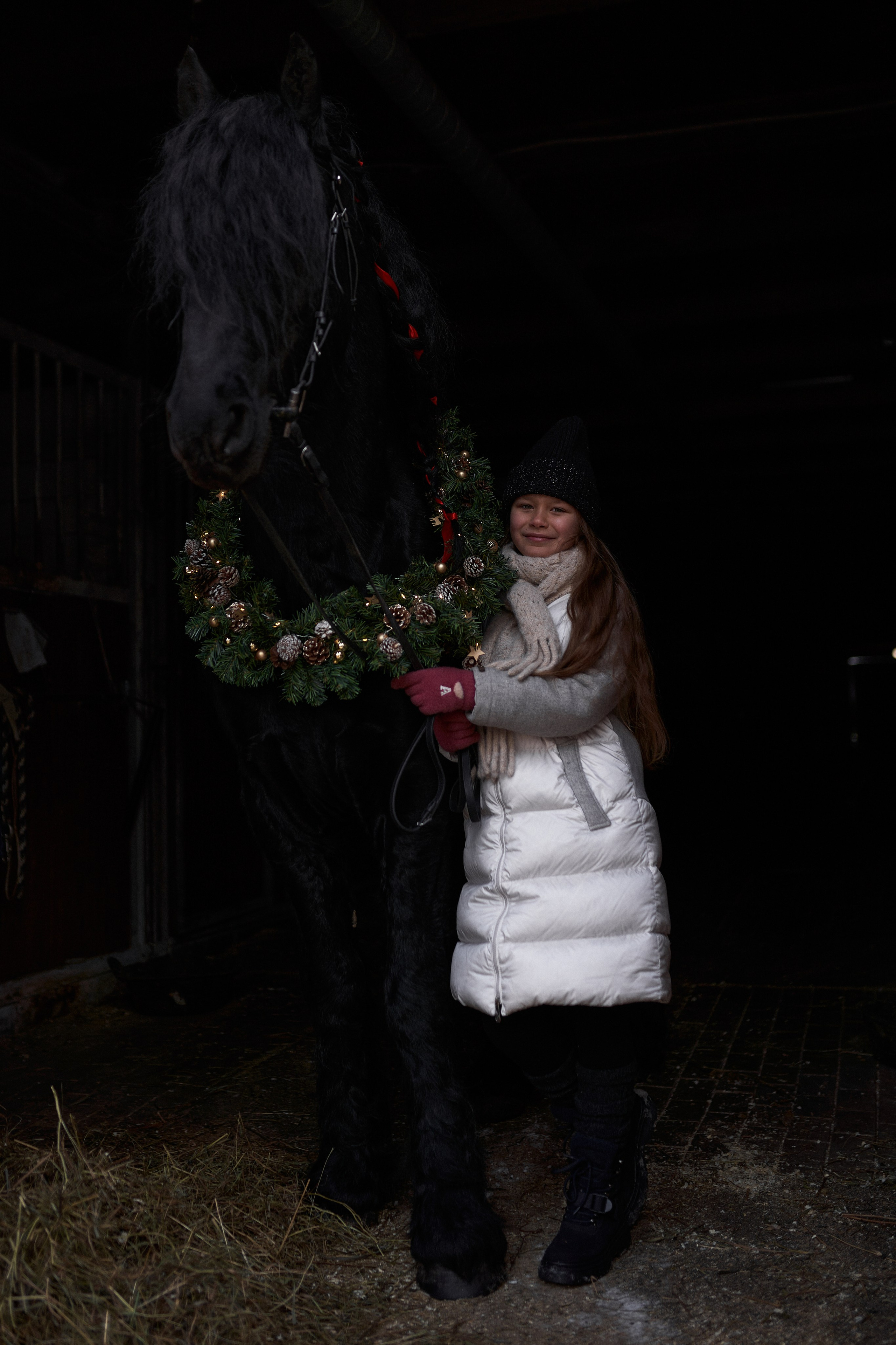 Новогодний Фотодень с фризским жеребцом. Фотосессии с лошадьми в Москве, Новосибирске