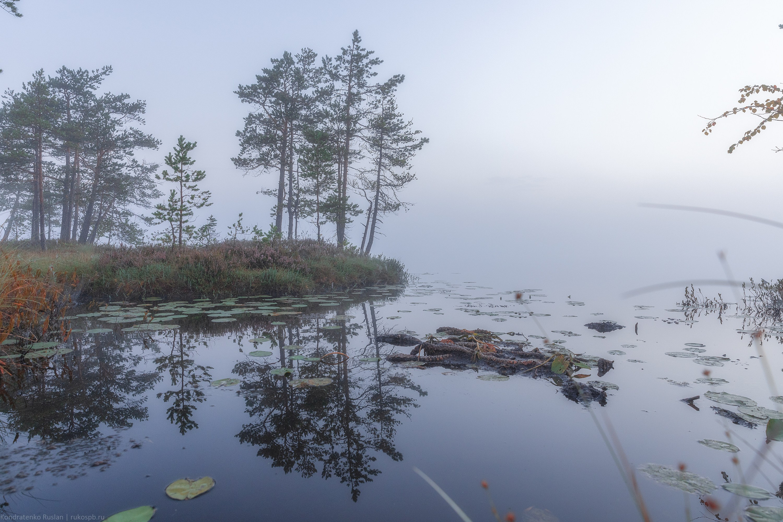 Ленинградская область. Архитектурный и пейзажный фотограф Кондратенко Руслан, Санкт-Петербург