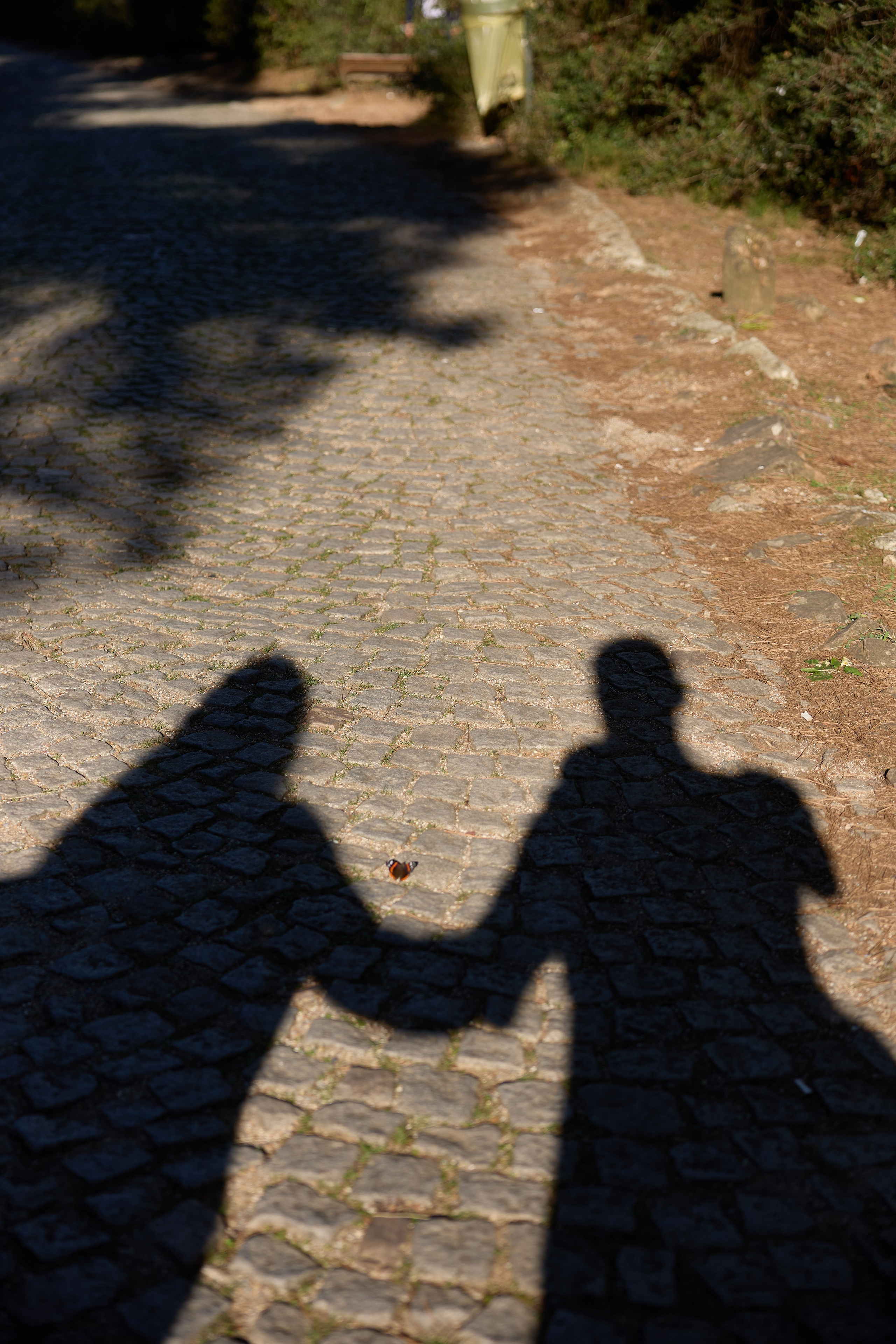 Стамбул 24. Фотограф Москва, Дима Пеллер