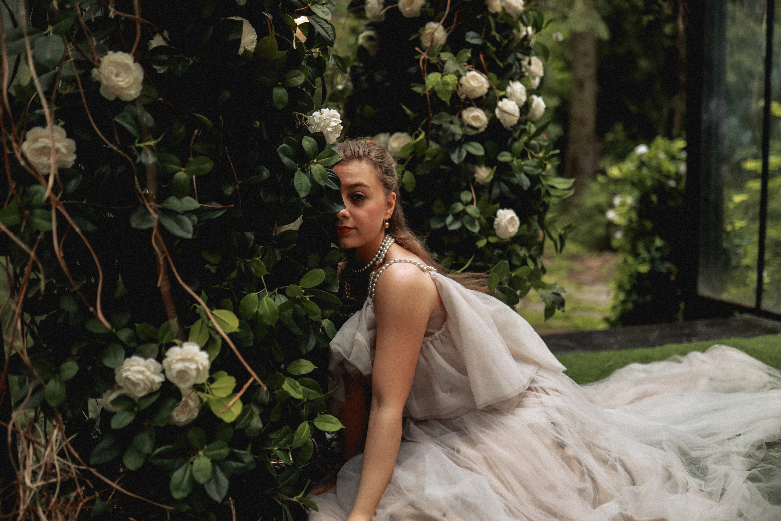 Зачарованный лес