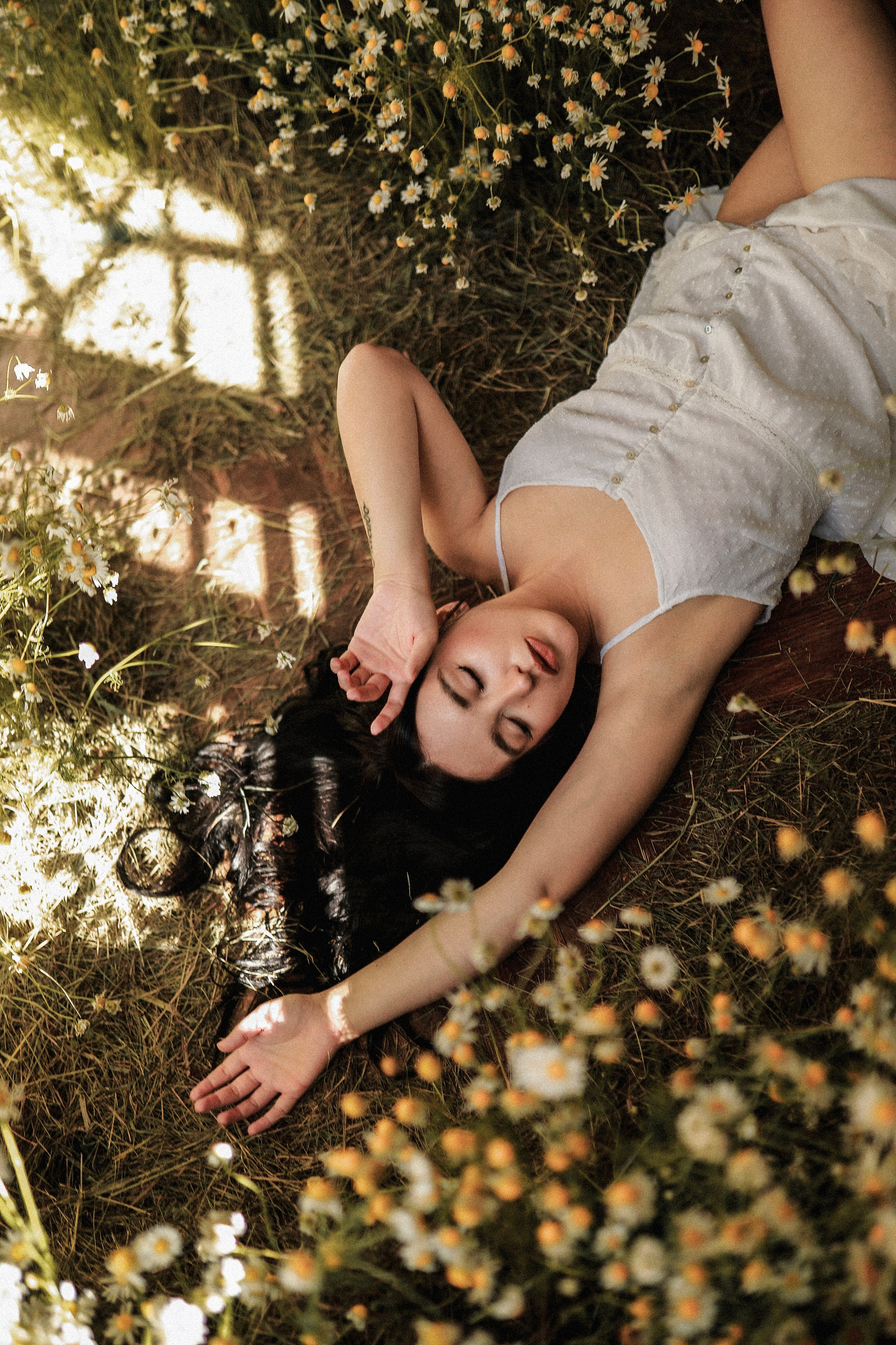 Сон в летнюю ночь | Ромашковое поле