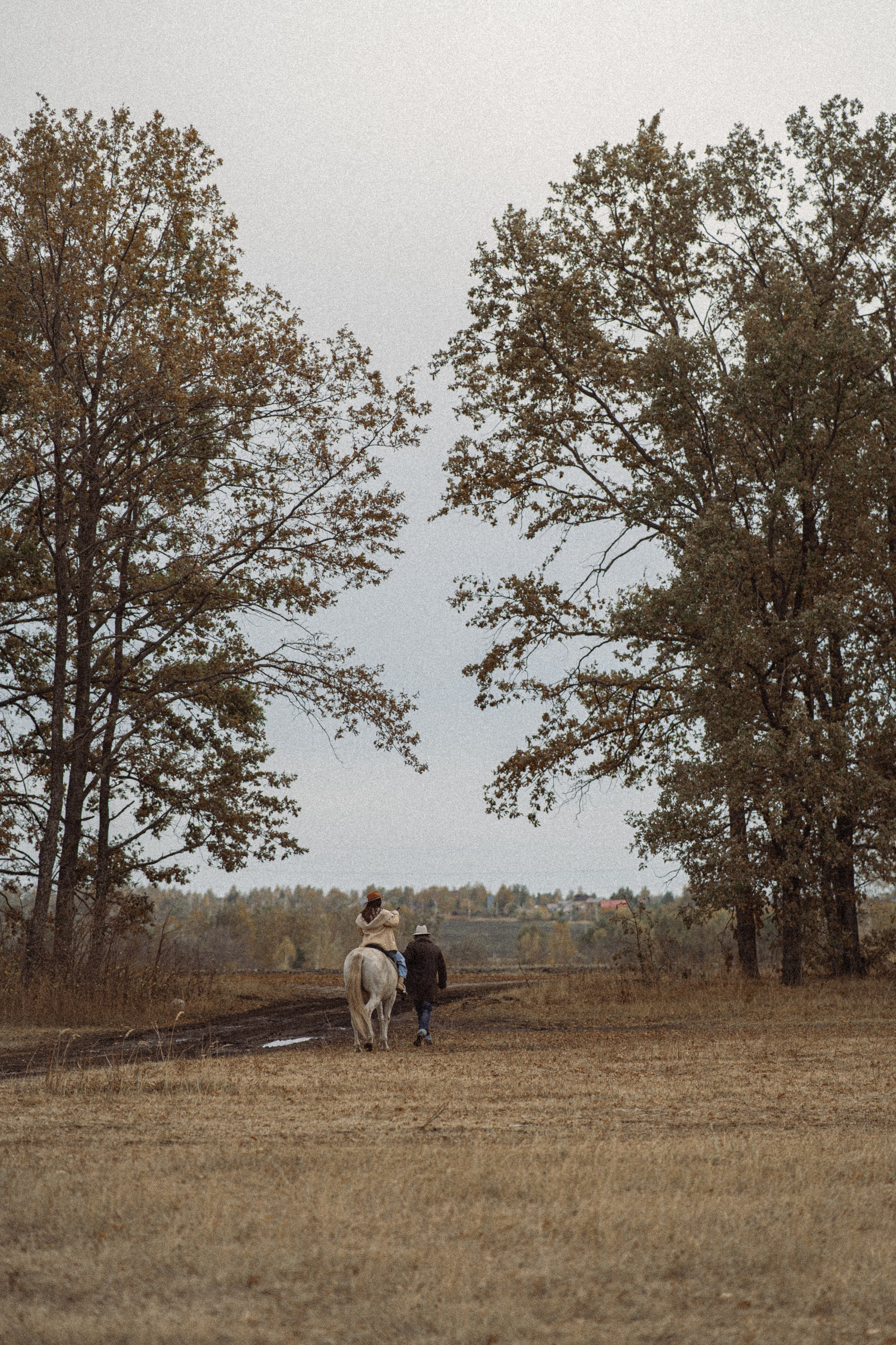 Конюшня. Фотограф Мария Зайчик