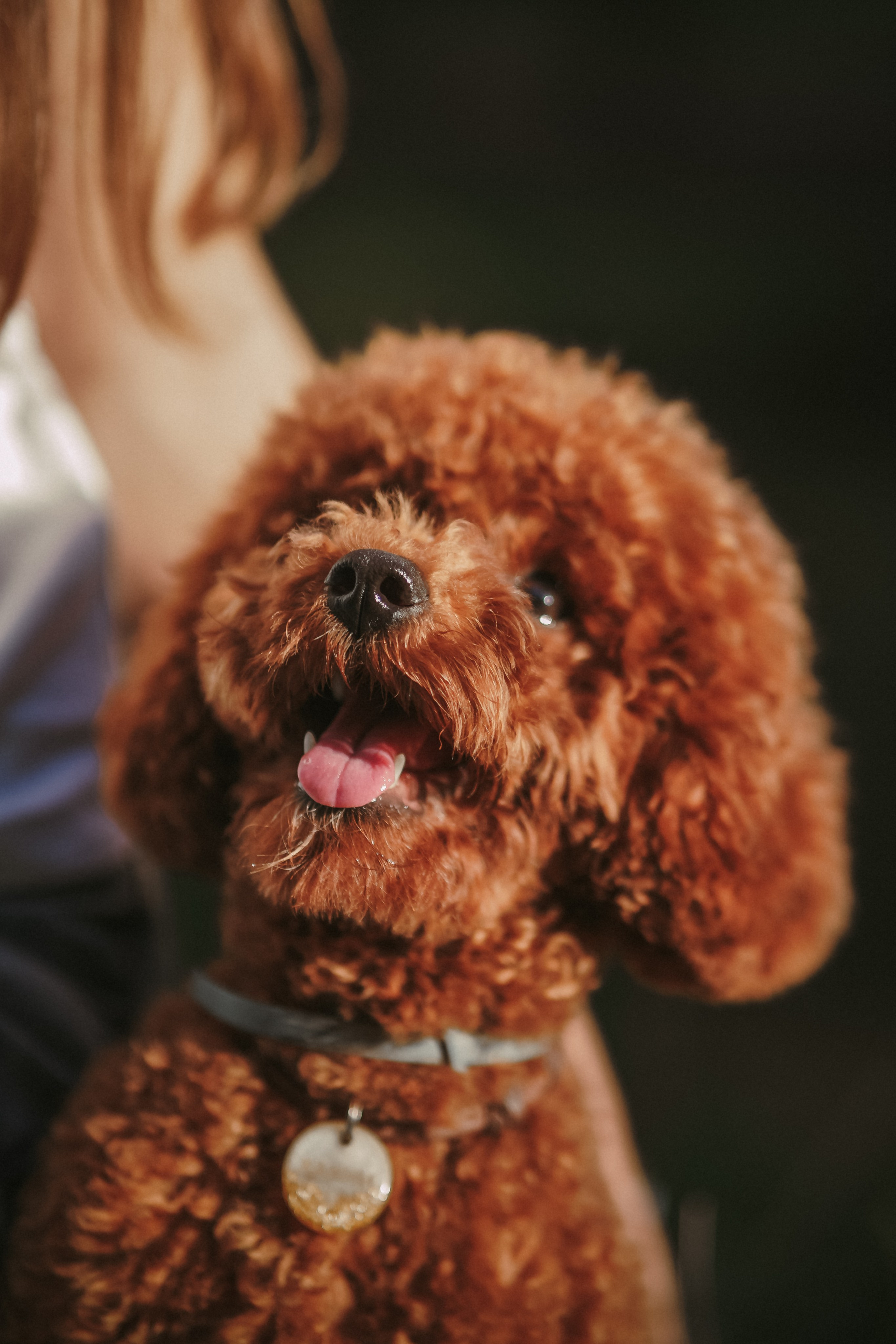 Верность. Фотограф Москва