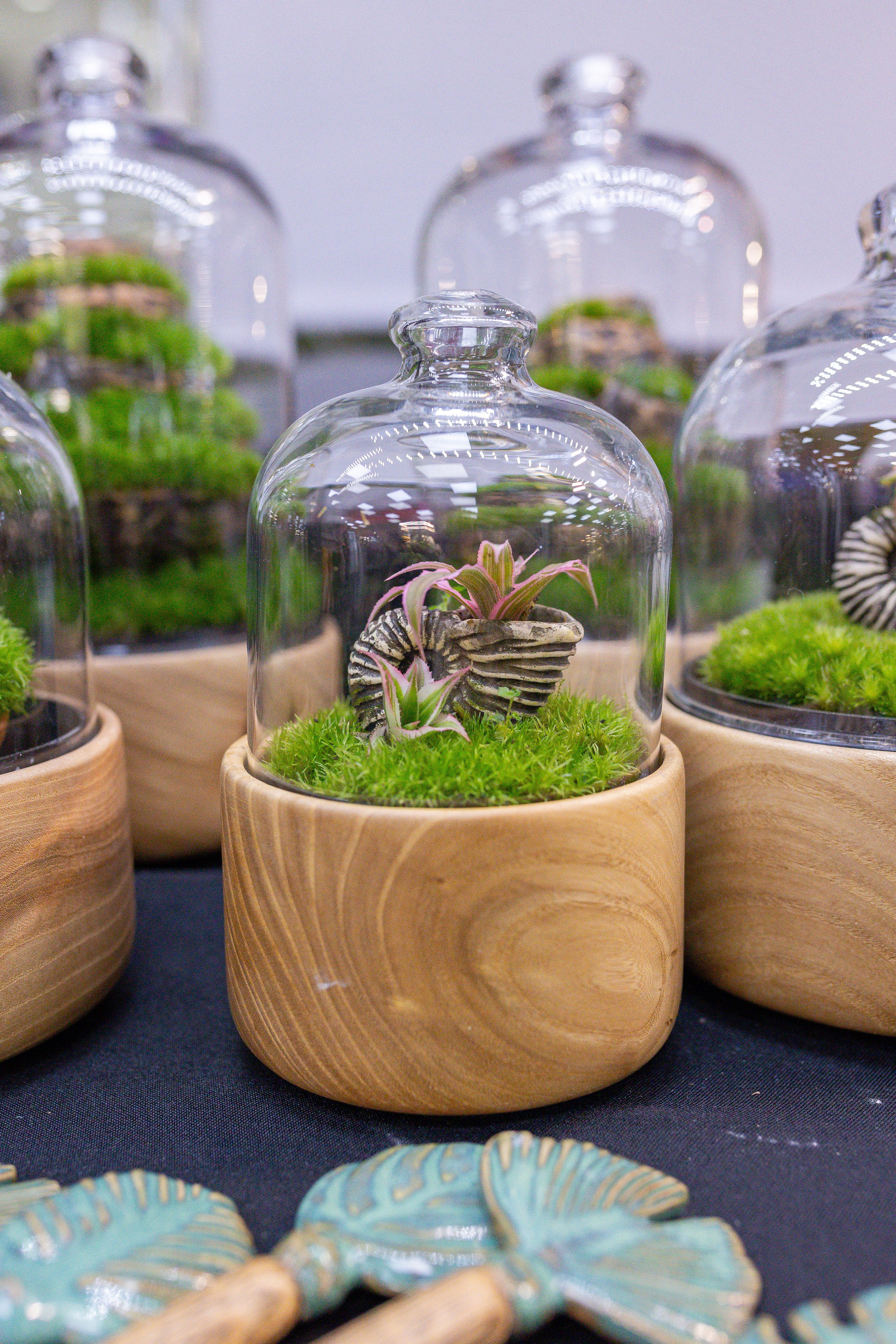 Орхидиум 12.2025. Александра Куликова фотограф, Москва