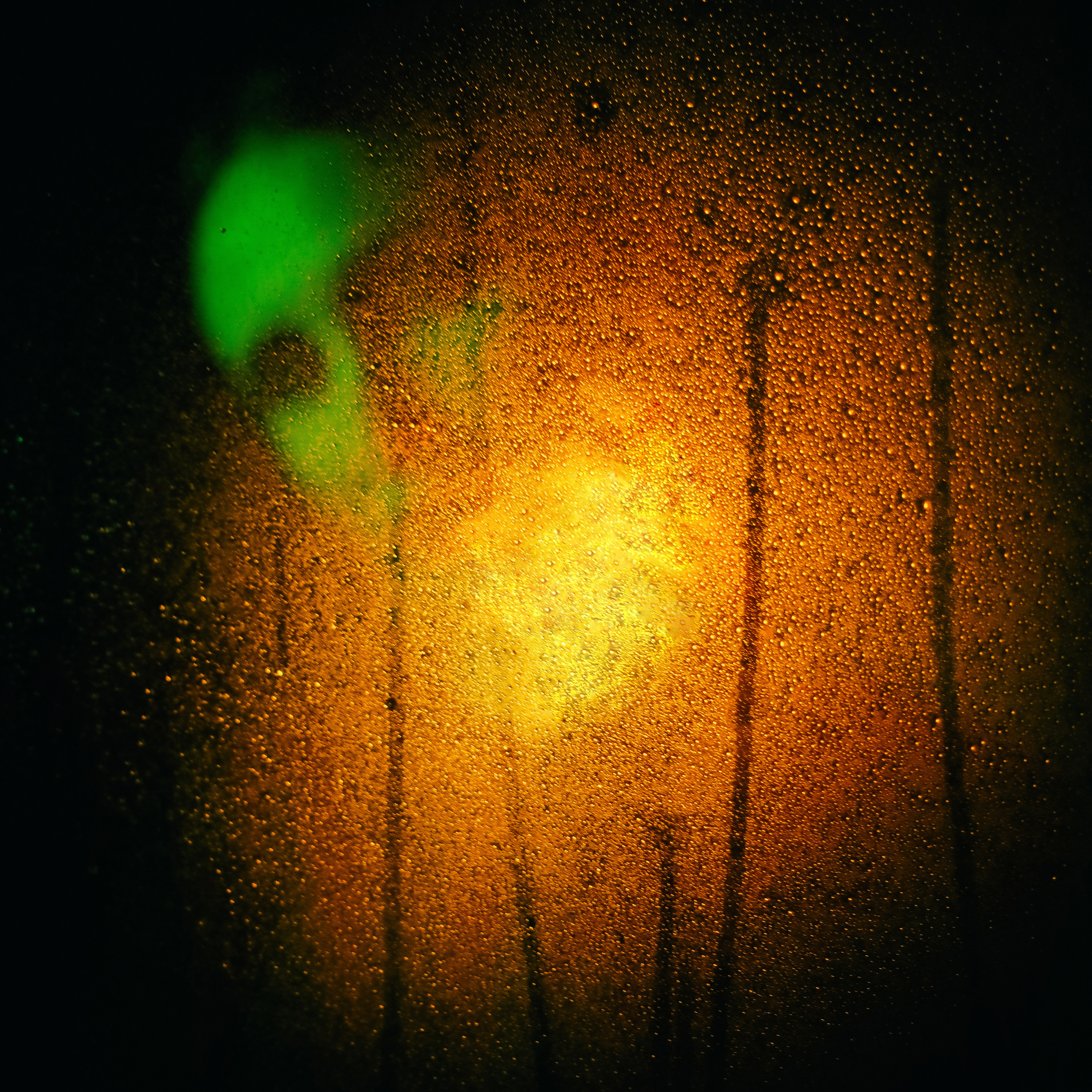 Домашняя фотосессия с цветным светом. Свадебный и семейный фотограф в Краснодарском крае Мария Данилкина