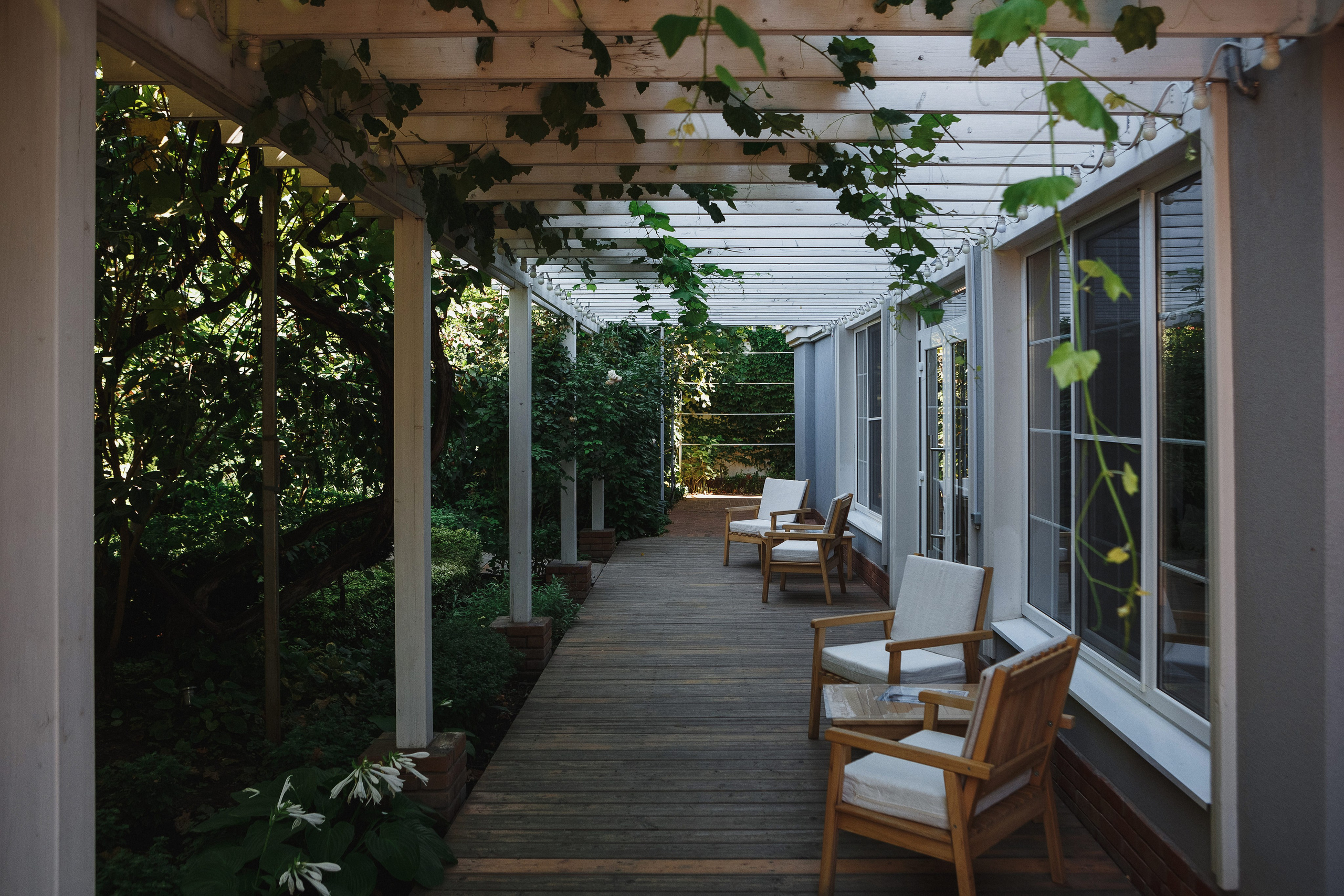 Вид на внутренний дворик гостиницы Ида в Таганроге: уютное пространство с зелёными насаждениями, современной мебелью и атмосферой спокойствия и комфорта