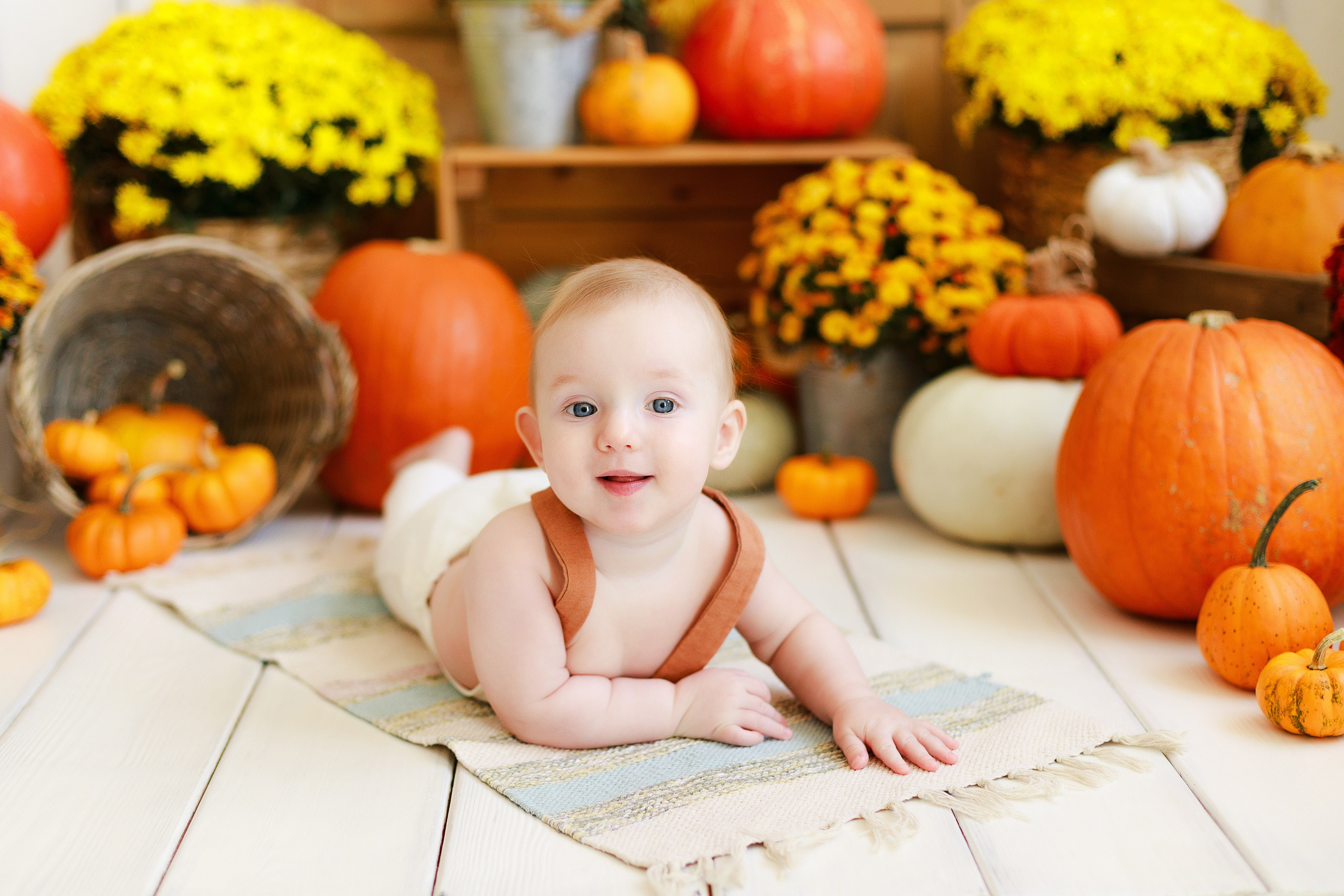 Осенняя детская фотосессия с тыквами и кроликом в Краснодаре. Детский и семейный фотограф в Краснодаре Альбина Морозова