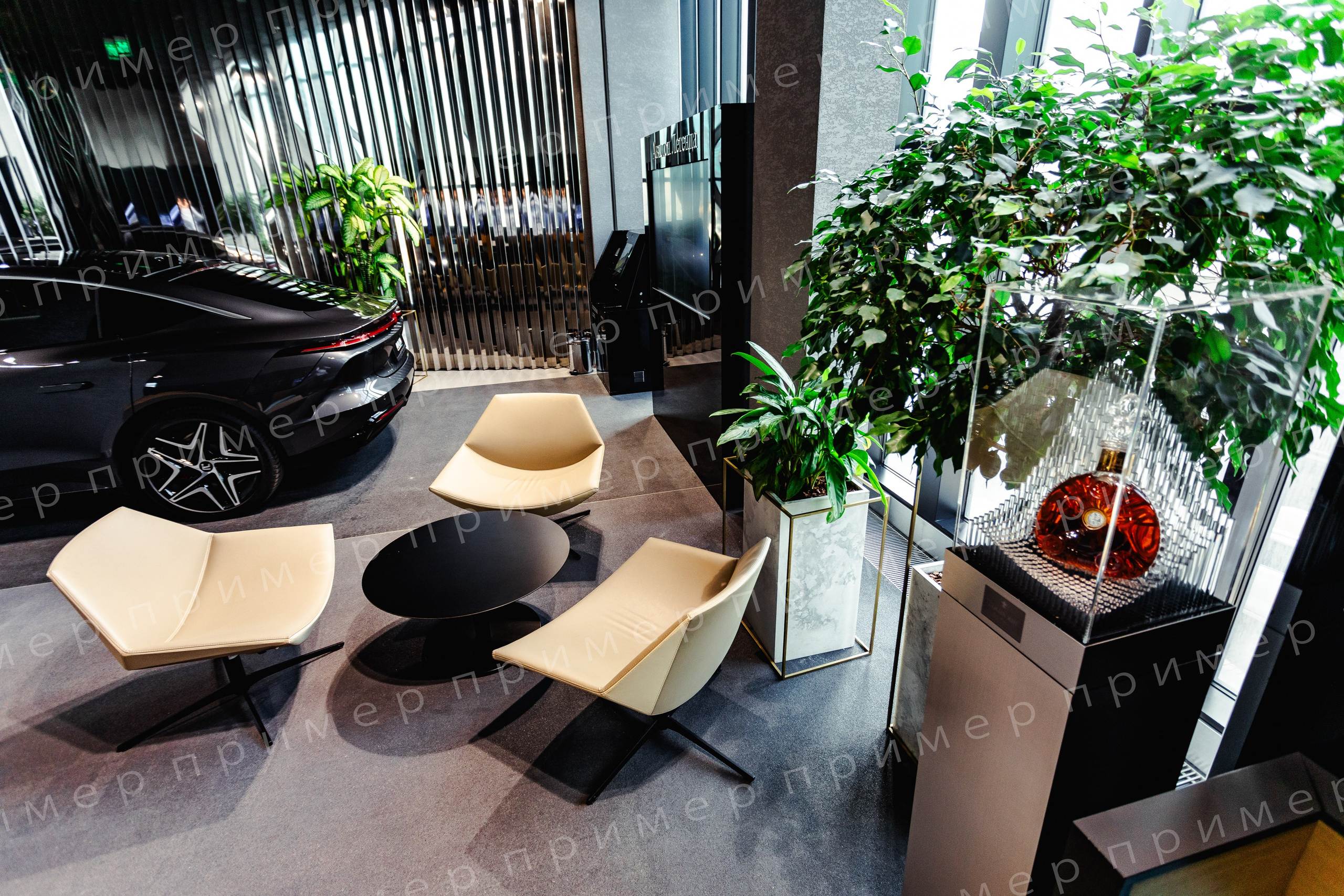 Интерьерные съемки. Спортивный фотограф — Никита