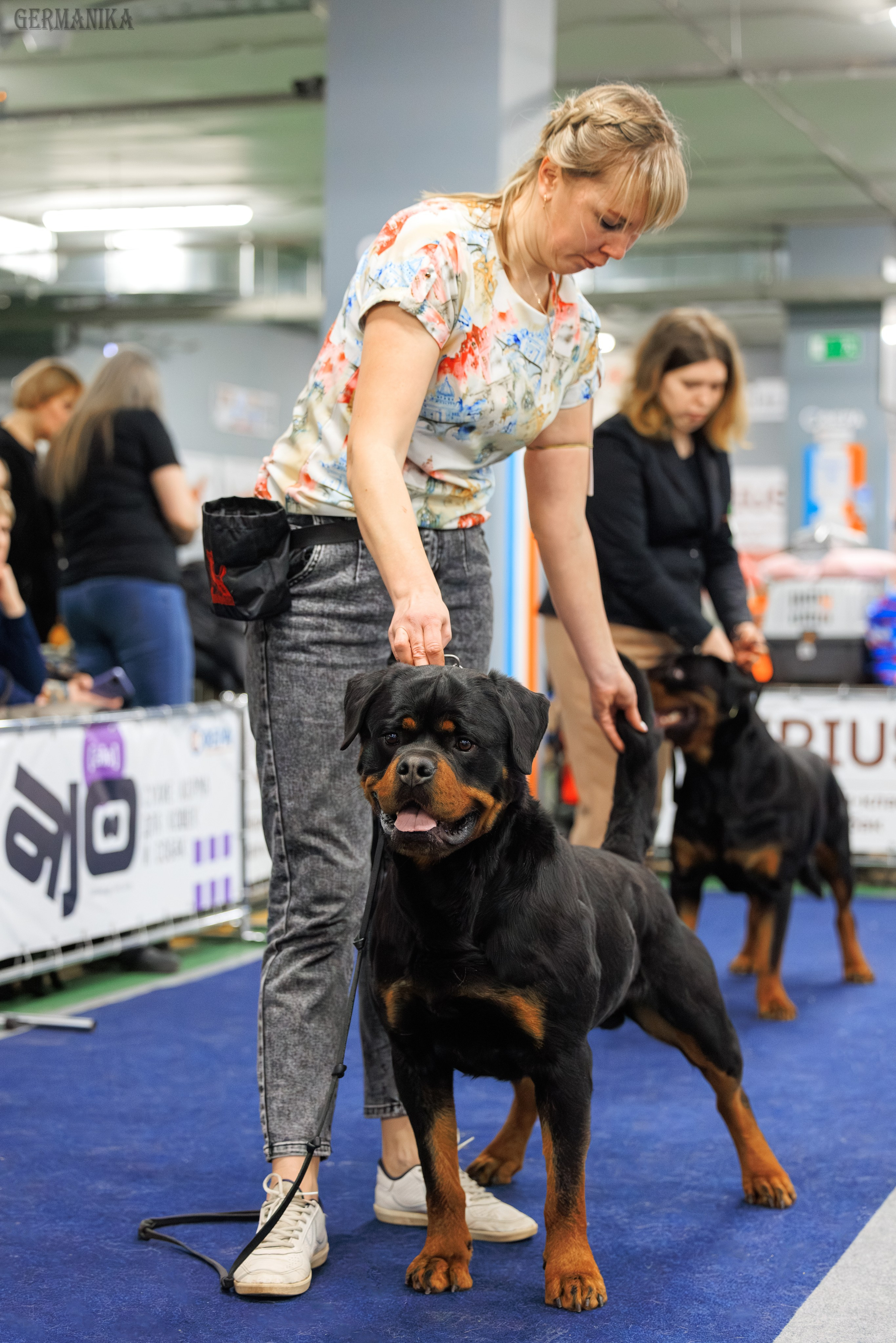 Сфера 08 и 10.03.2024 2хмоно ротвейлеров+2хмоно сао. Фотограф-анималист Юлия Германика