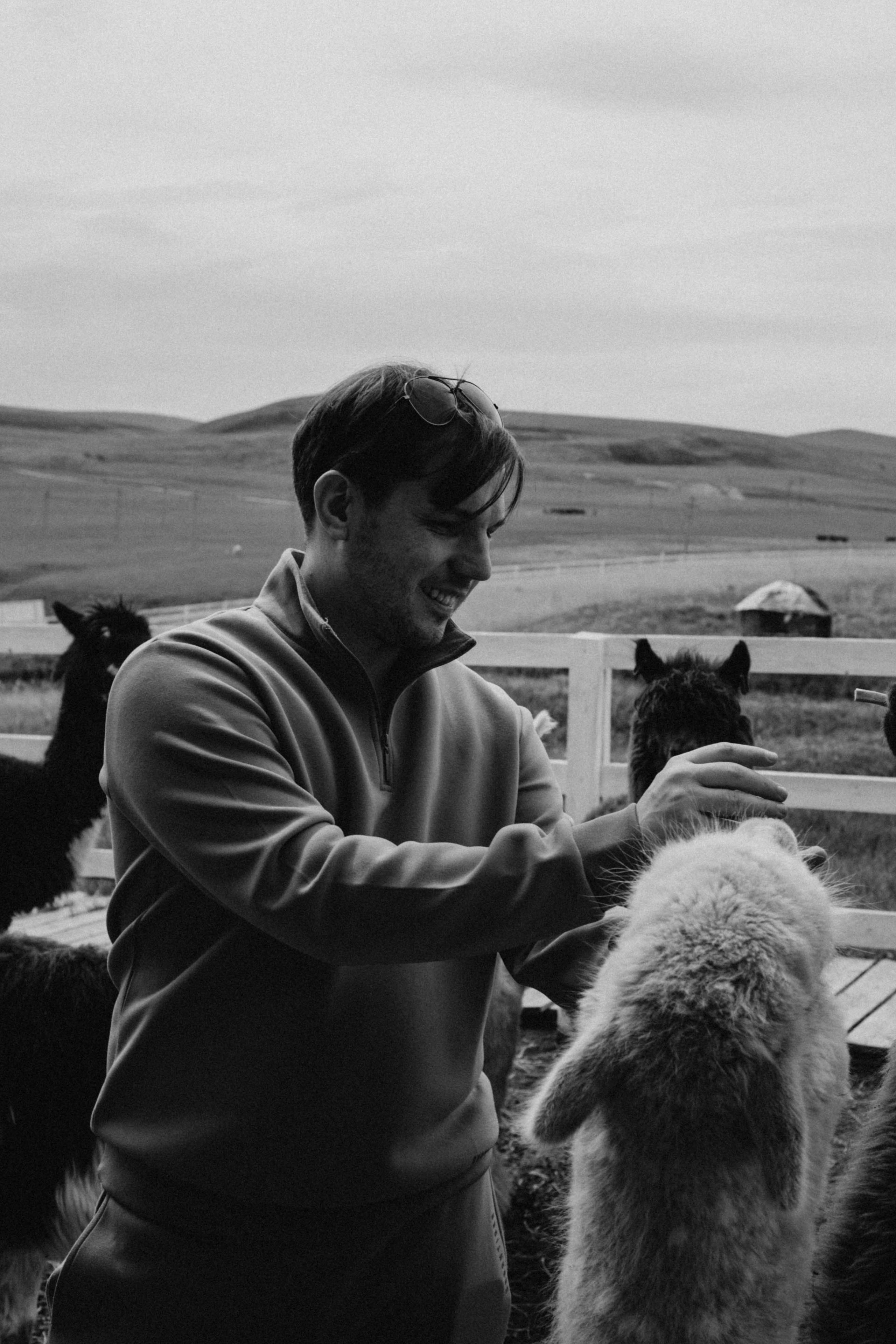 Ферма Альпак. Профессиональный фотограф, Санкт-Петербург — Виктория Богомолова