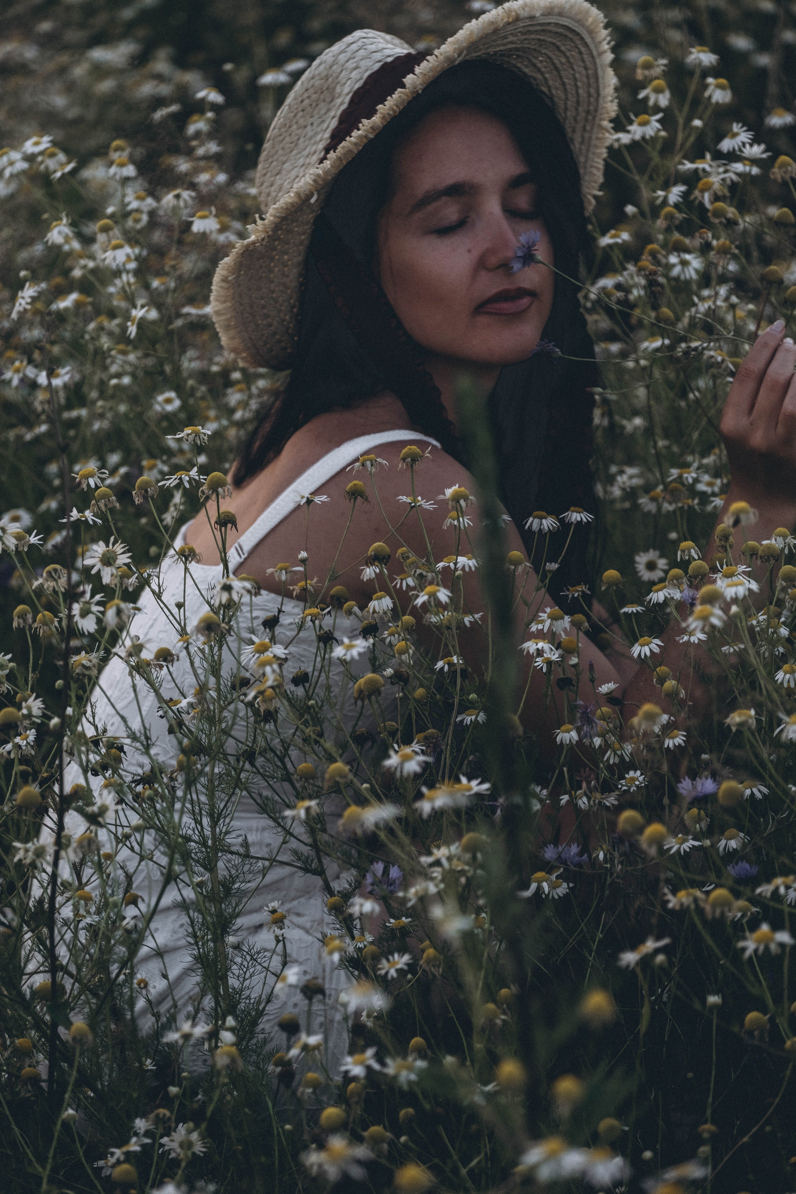 Ромашковое поле. Профессиональный фотограф, Санкт-Петербург — Виктория Богомолова
