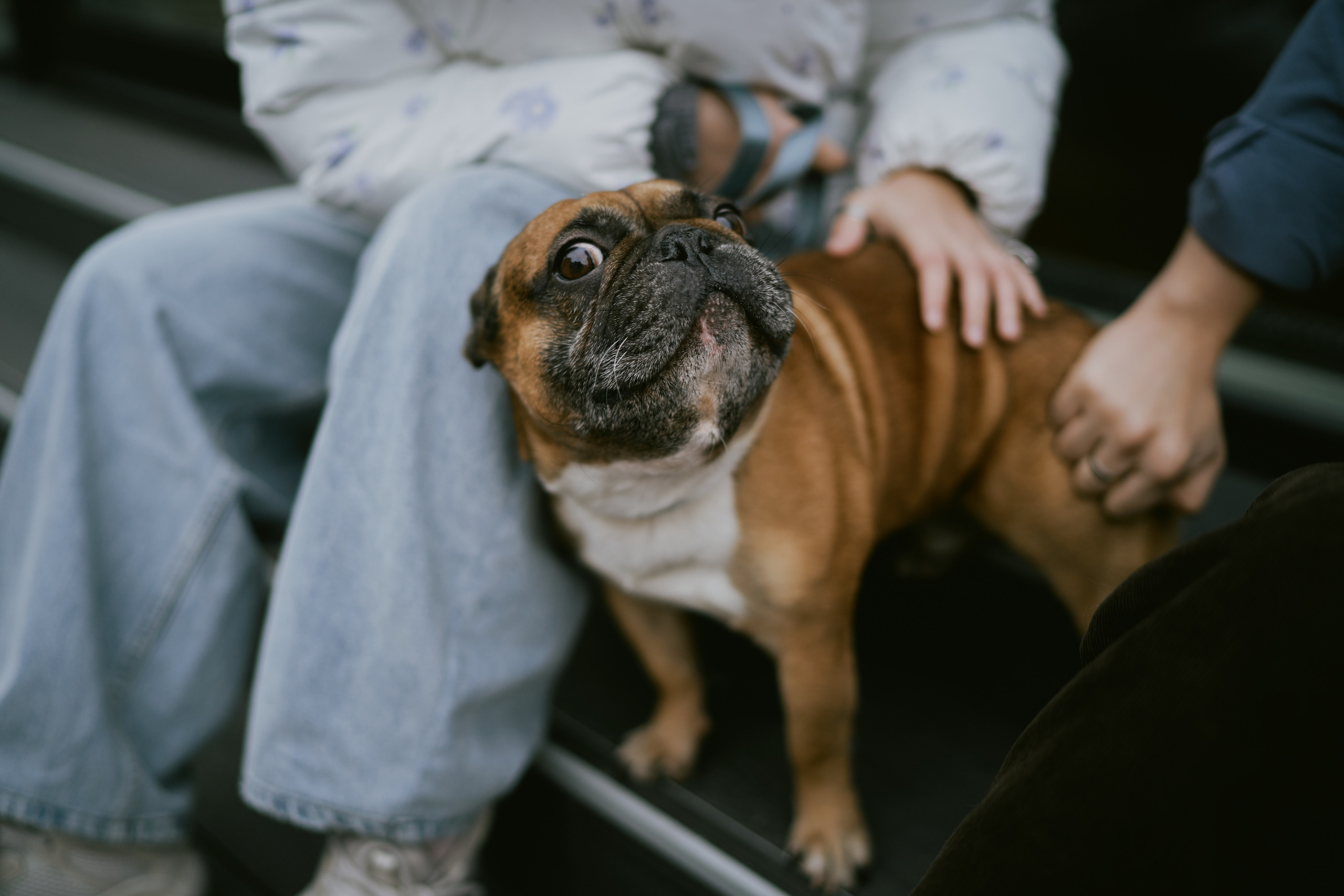 Лена и Кирилл. Фотограф в Санкт-Петербурге | Аня Маленчук