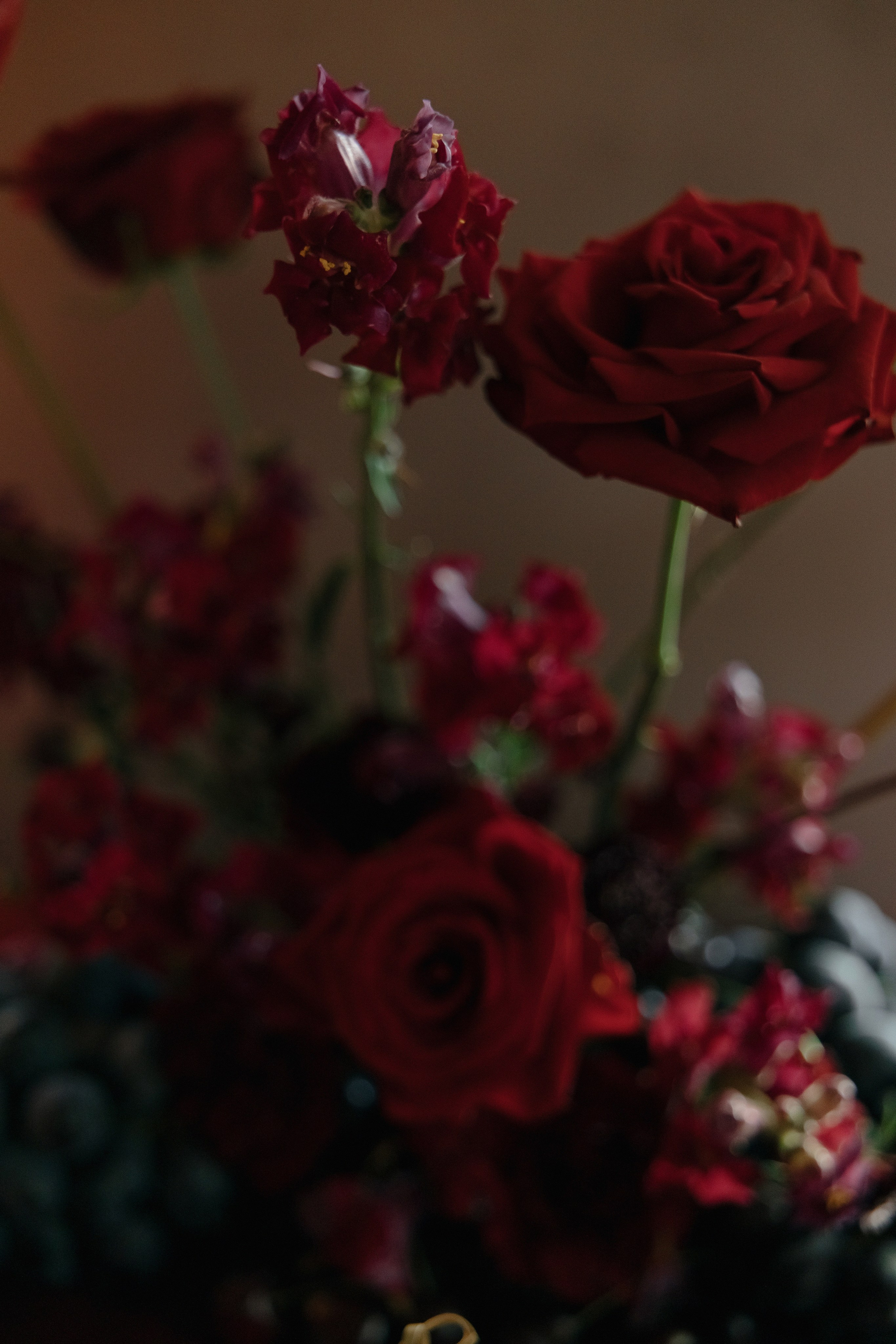 Винтажная история: читальня имПушкина и 21Культ. Свадебный фотограф Москва