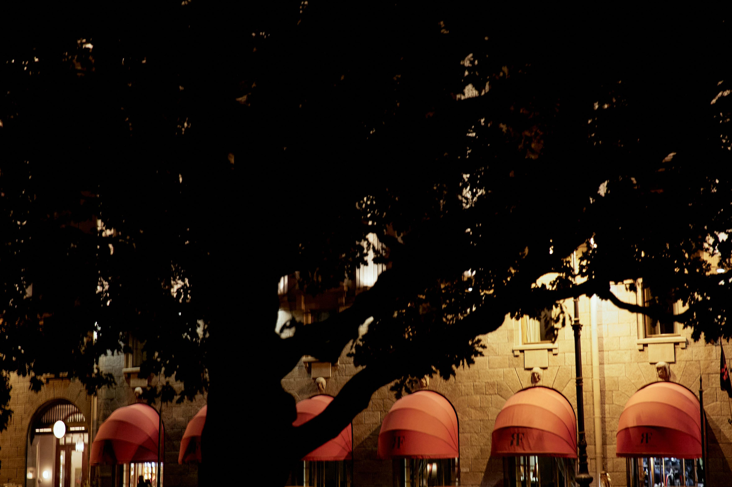 PITER FM. Дмитрий Мазуркевич: Профессиональный Репортажный Фотограф