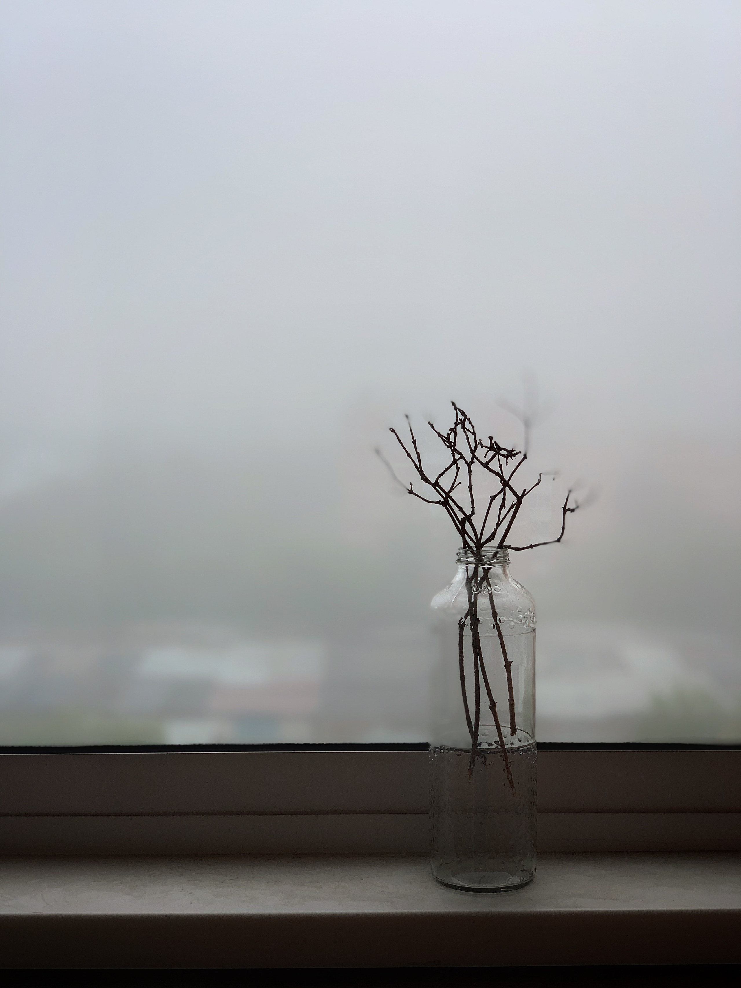 2019 год. Тащилин Сергей. Фотографии. Жизнь. Хобби