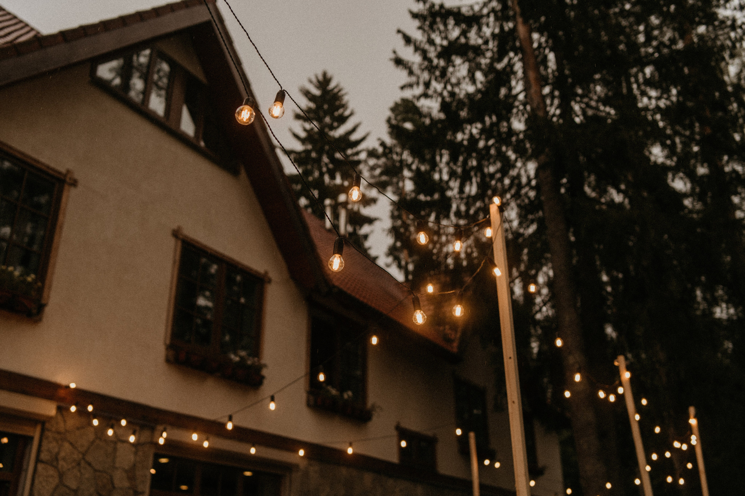 УТРО В ЛЕСУ. Миша Снимет | твой фотограф