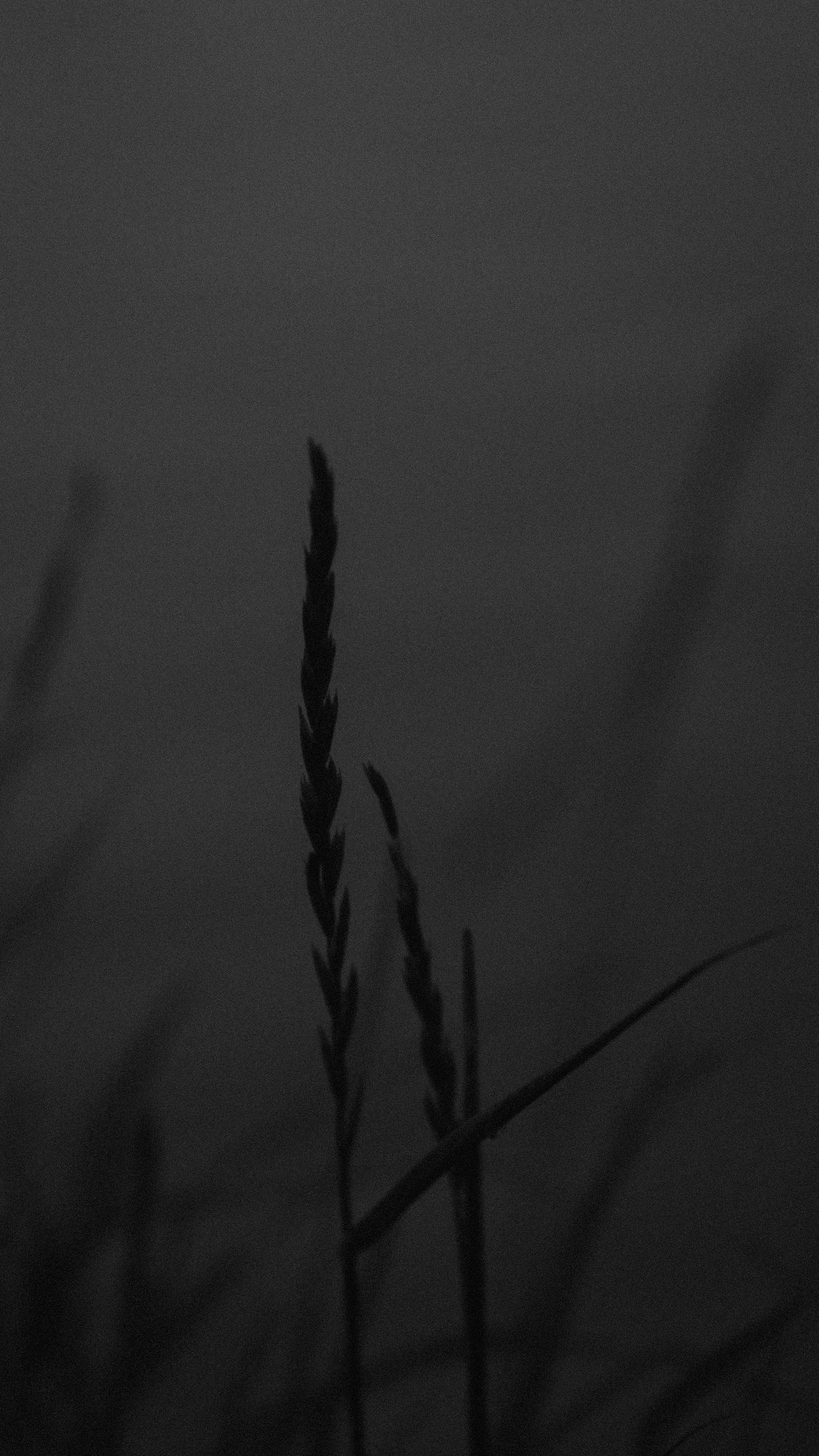 Внутривенные сны (2018-2023)