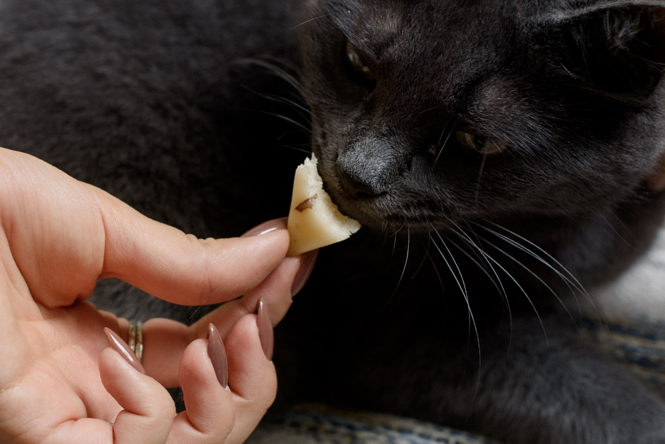 Меня достаточно. Алина Посторонка