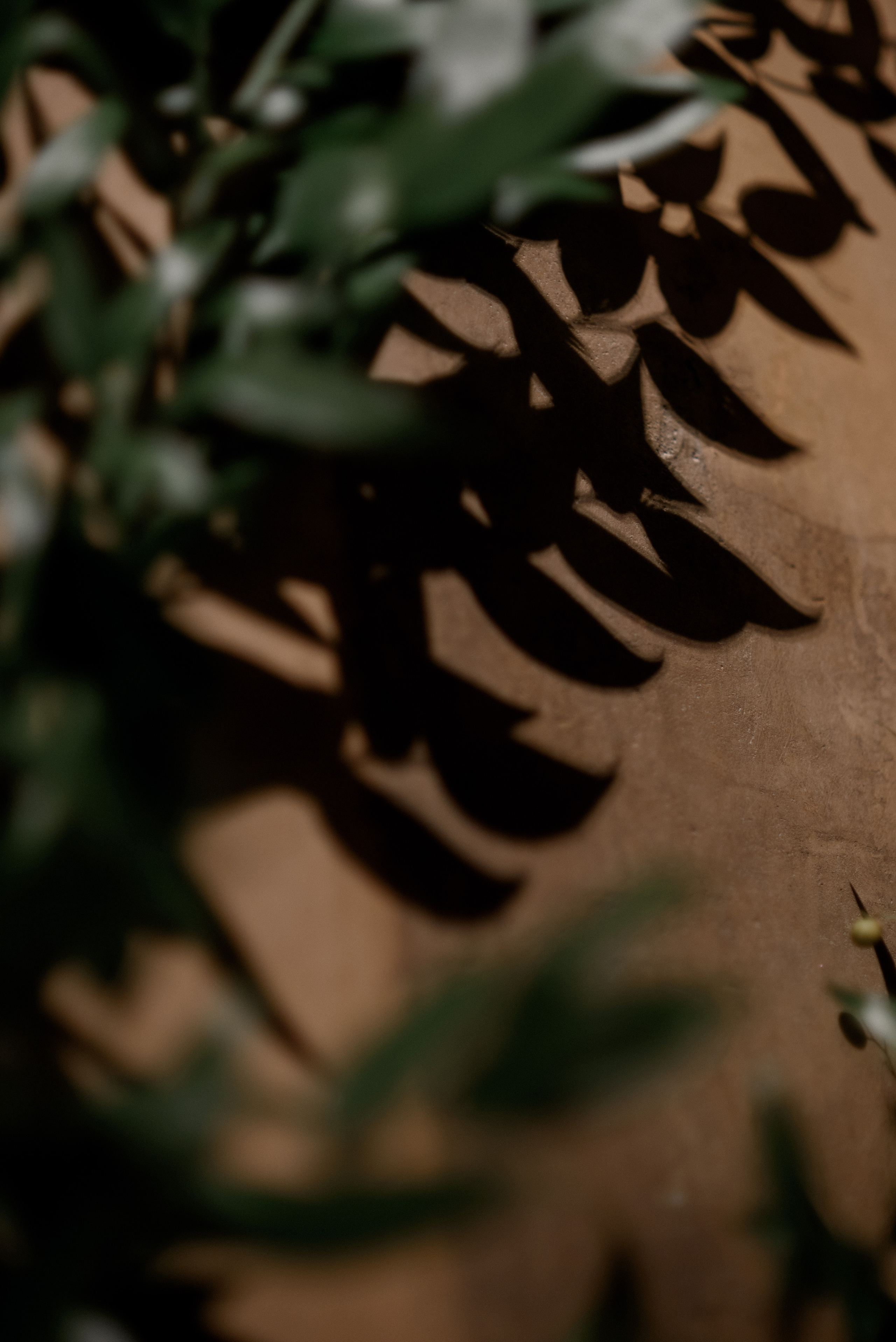 Меня достаточно. Алина Посторонка