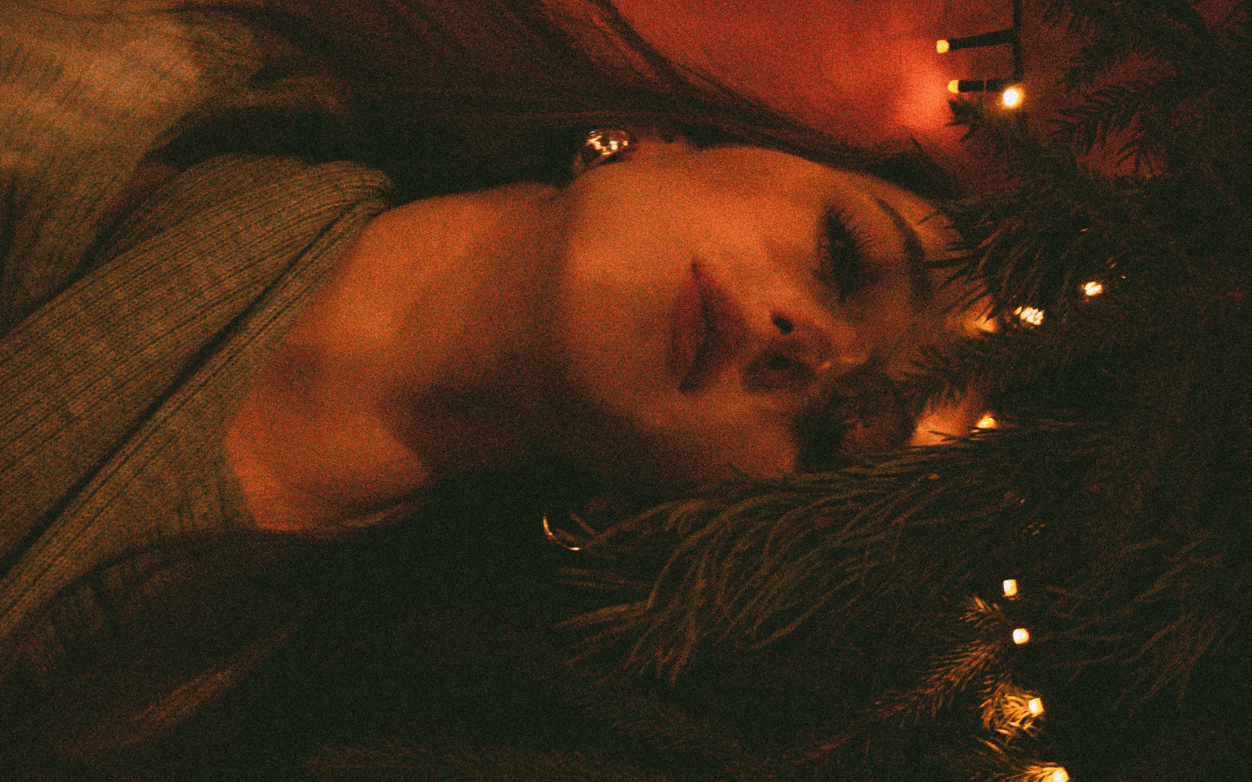 ПОРТРЕТЫ | PAVEL KAYLER