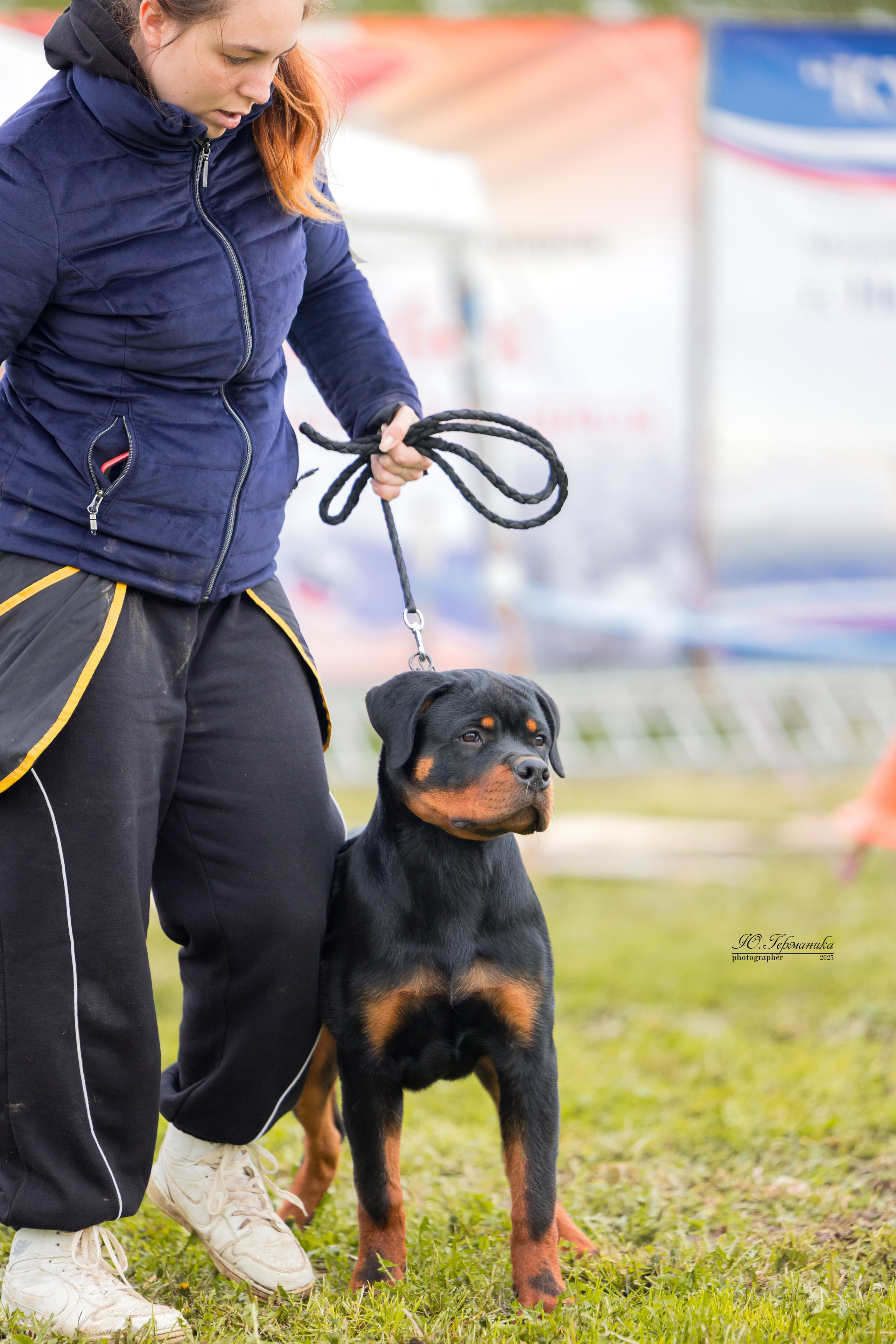 Нижний Новгород 2хмоно ротвейлеров 10-11.05.2025. Фотограф-анималист Юлия Германика