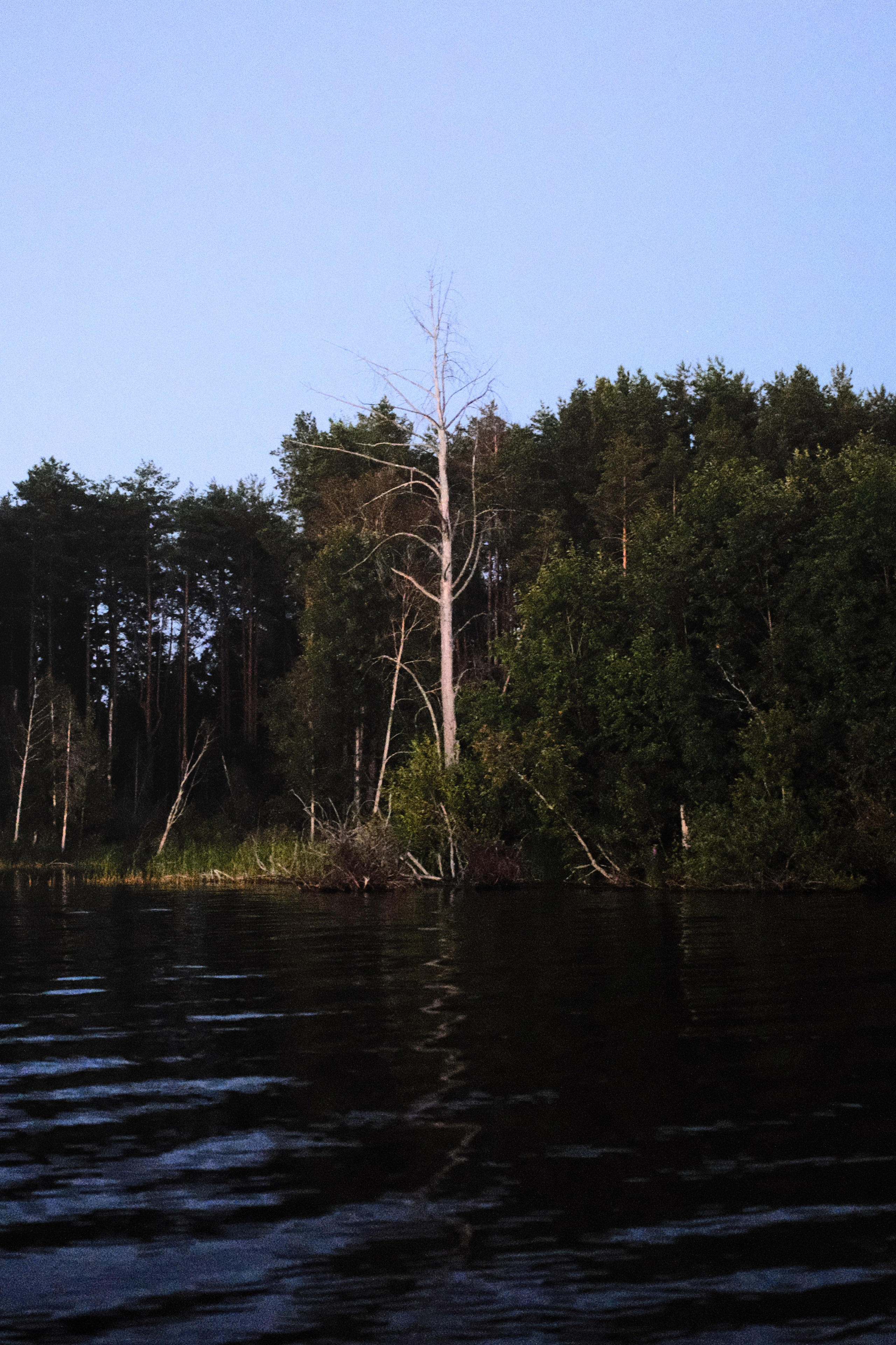 Пейзажи. Фотограф-любитель из Кирова Андрей Погребняк