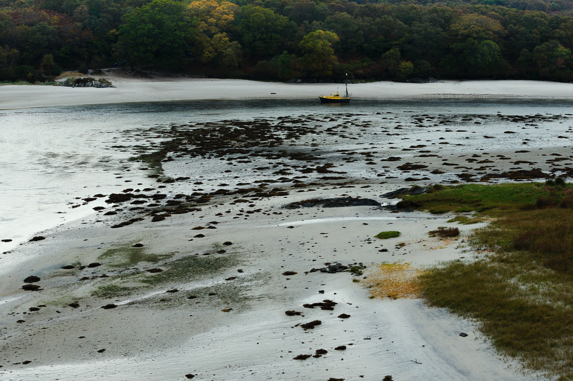 Песчаный пляж во время отлива с обнаженными камнями и желтой лодкой, пришвартованной вдалеке у кромки густого леса.