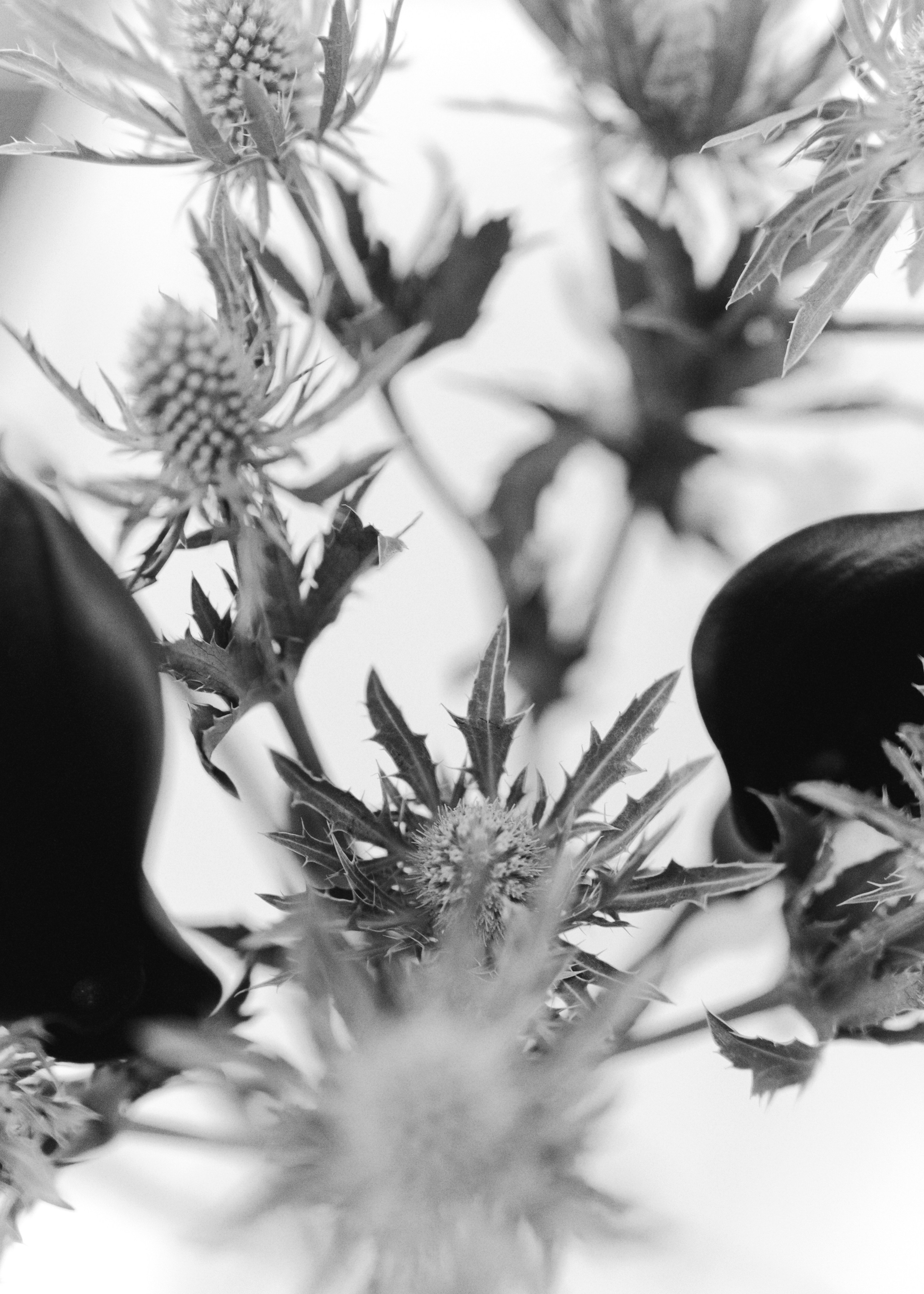 Цветочный мастер-класс. Портретный и репортажный фотограф Настя Климачева