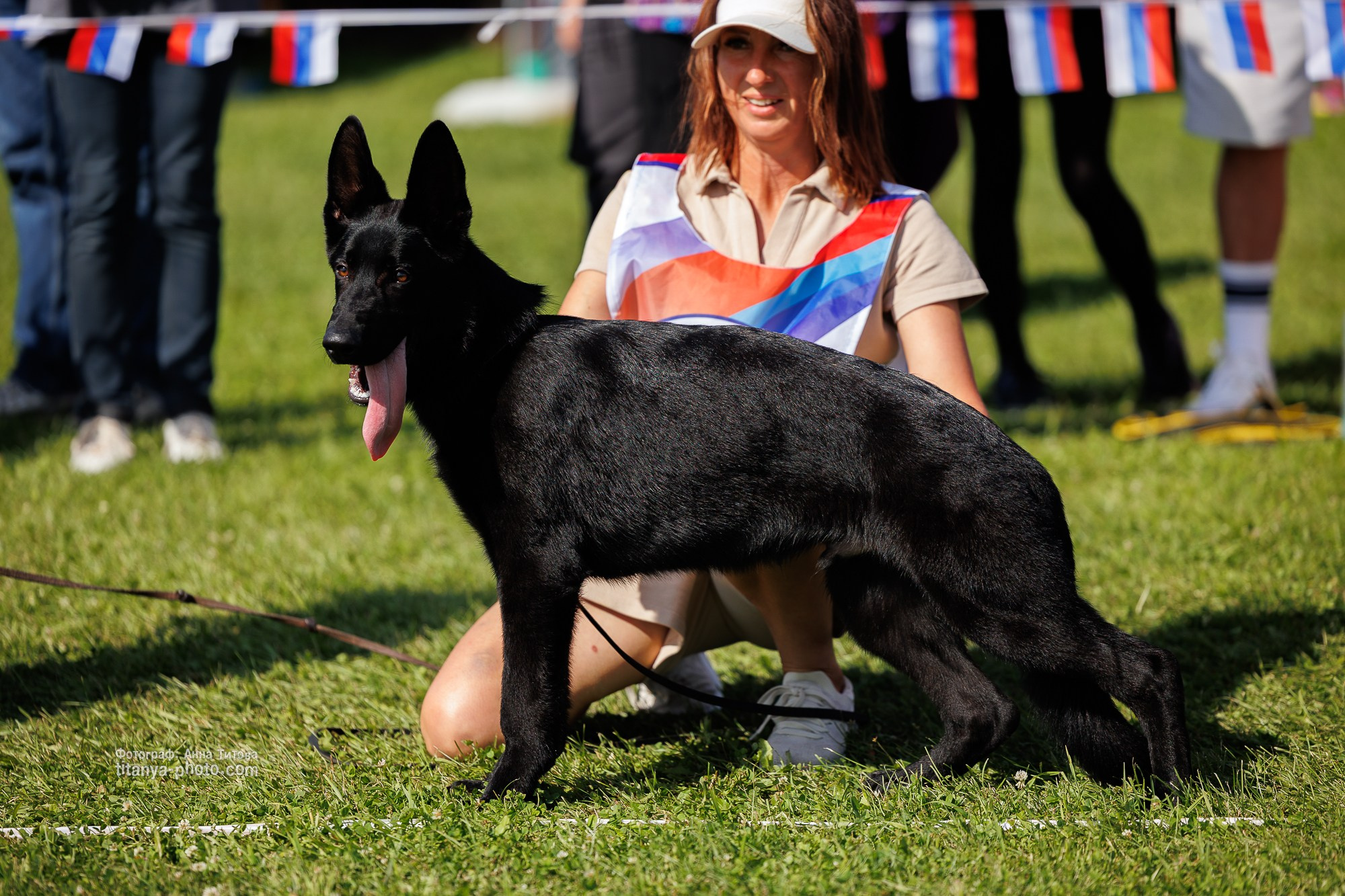 Немецкие овчарки: фото из рингов и вне ринга, мутпроба (фотографии с выставок). Фотограф собак, фотограф-анималист Аня Титова (Titanya). Москва