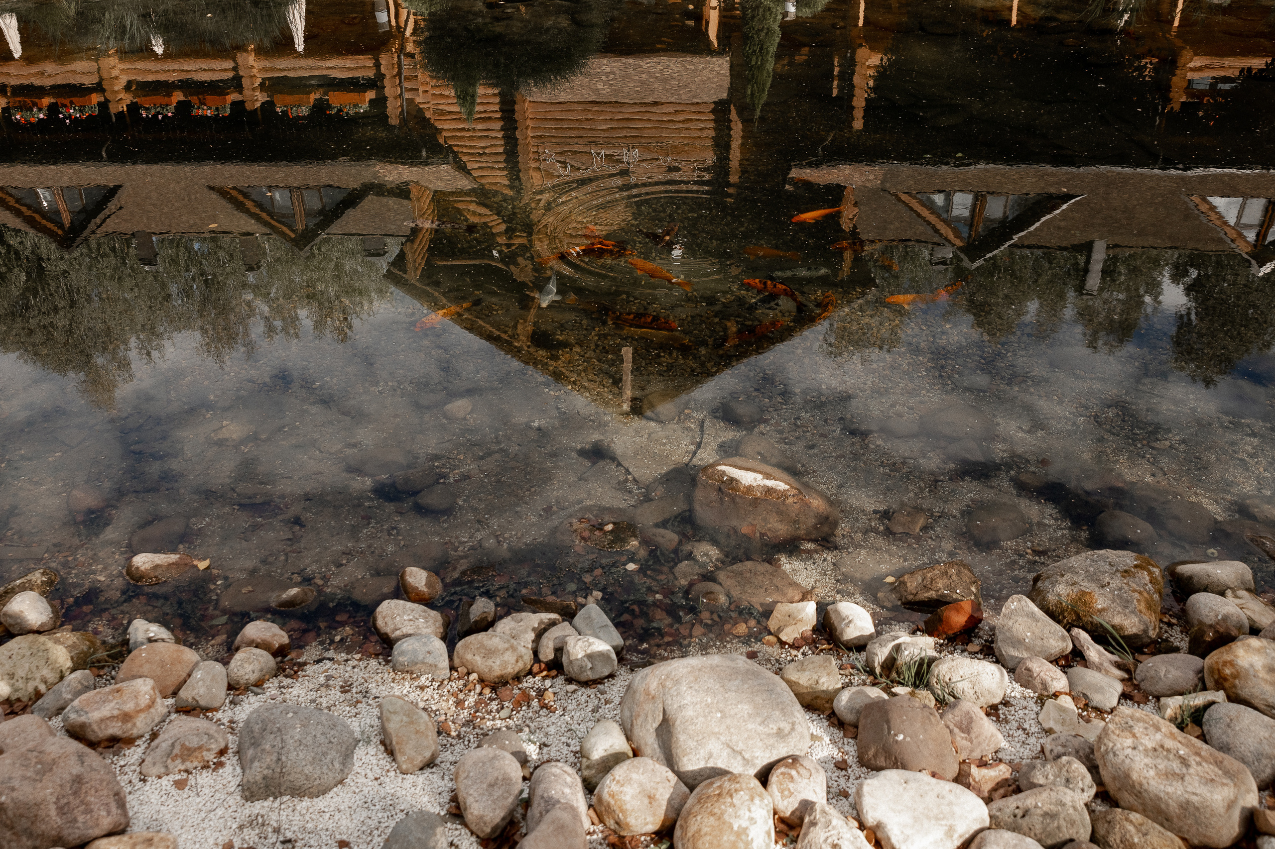 RAINBOW. Свадебный фотограф Ярославль, Рыбинск