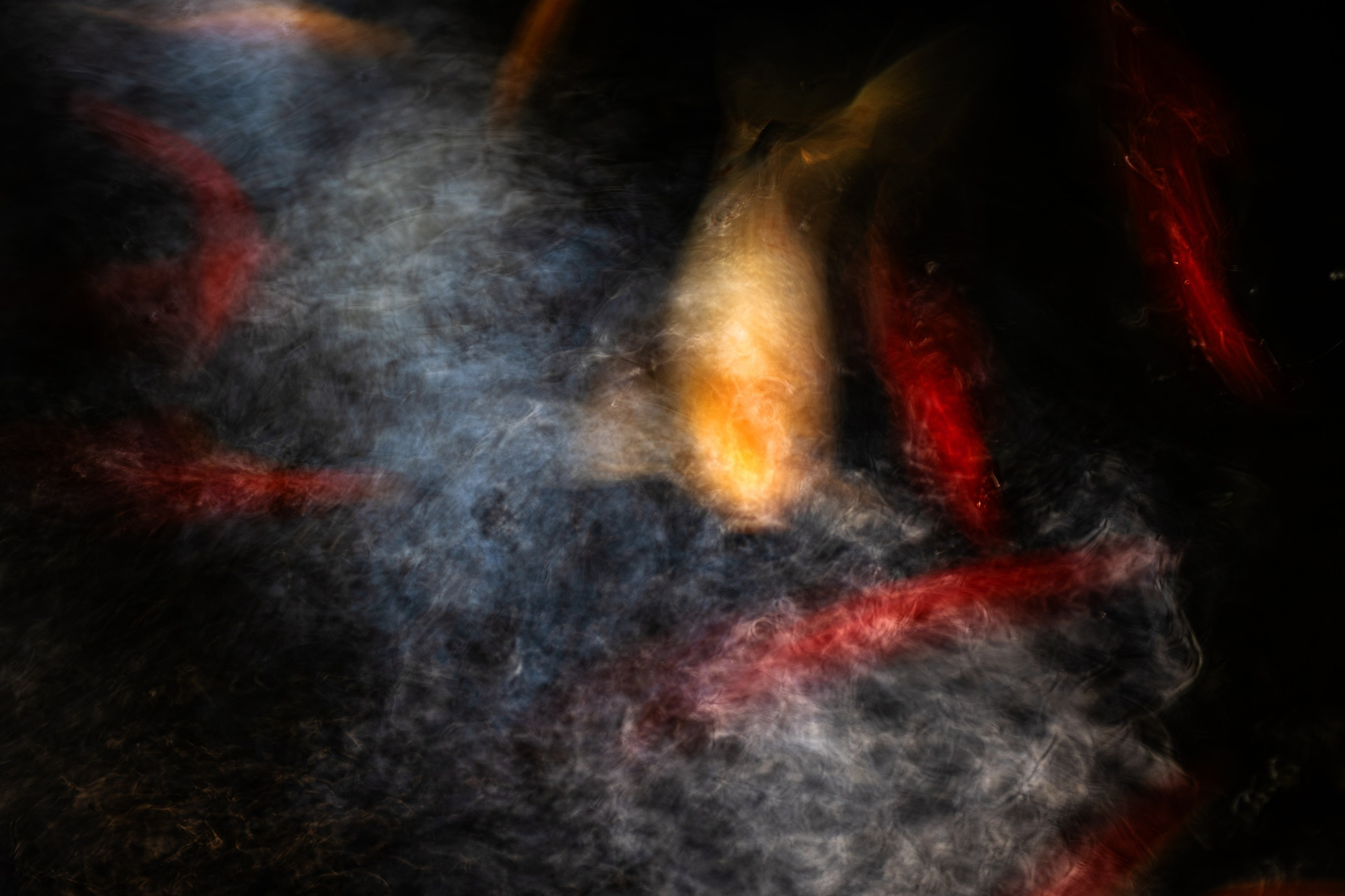 UNDERWATER. LUMEN DUO Art photography for interiors
