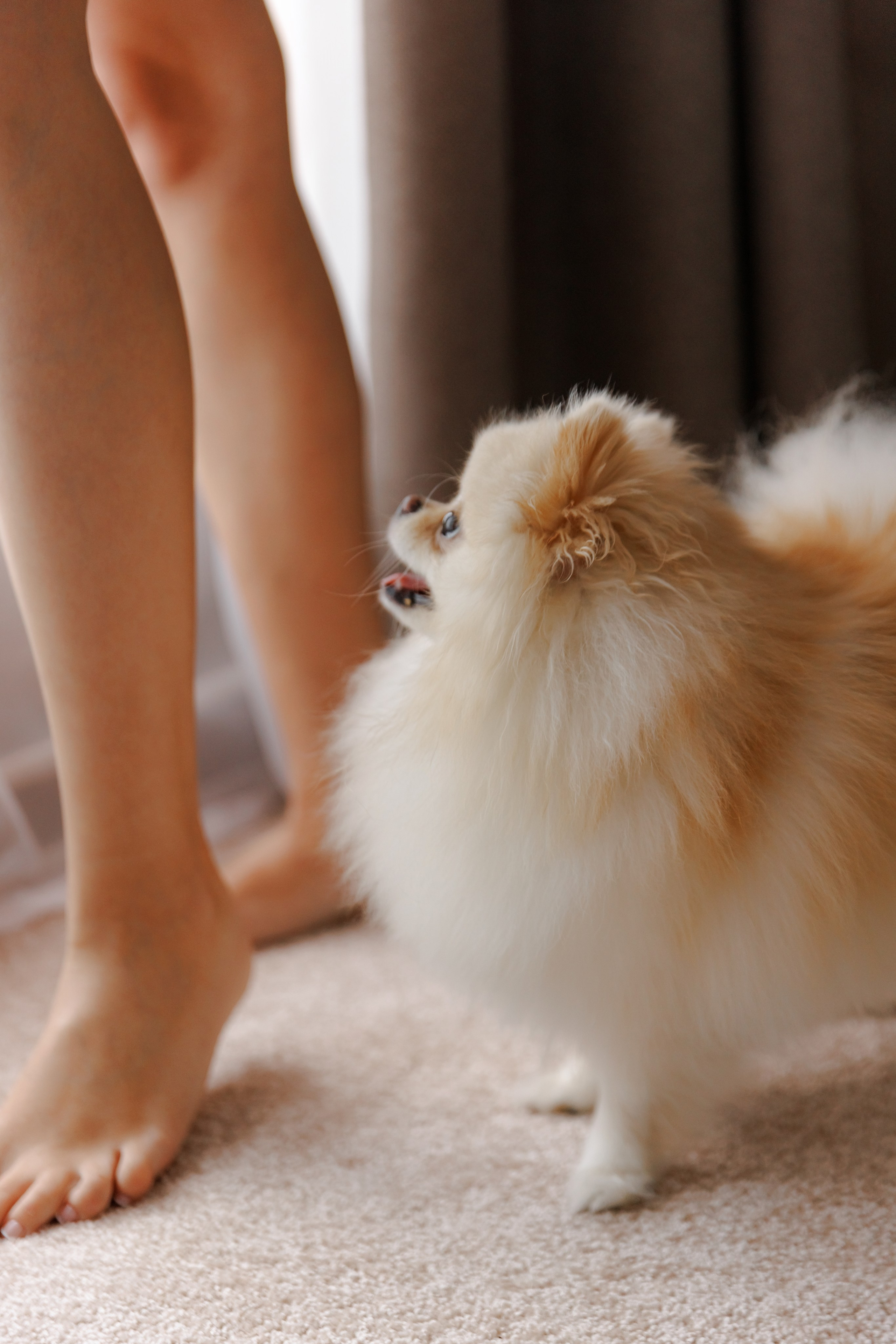 Александр и Алина. Свадебный фотограф в Москве, Ярославле Виталий Квант