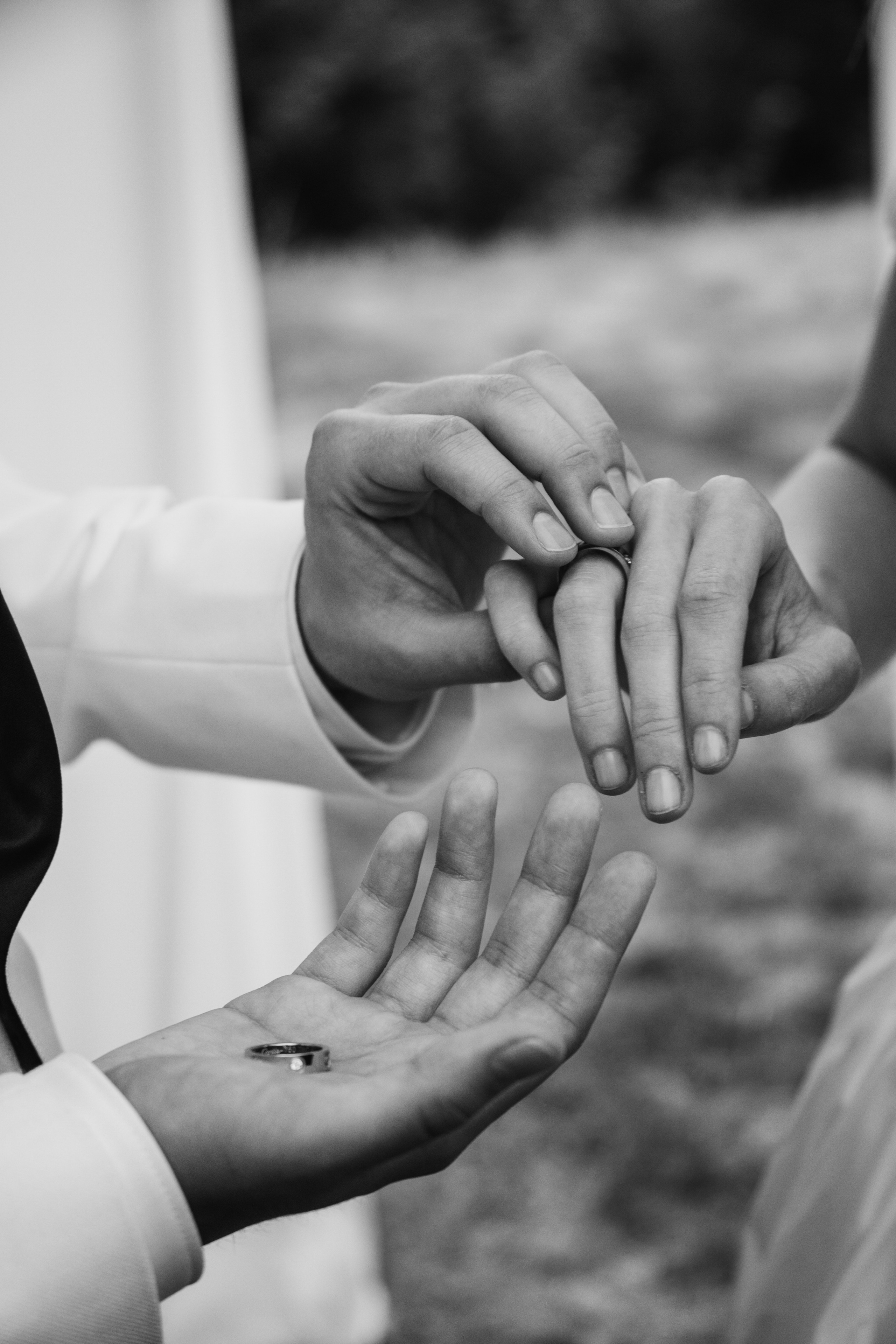 Вероника и Дмитрий. ФОТОГРАФ АЛИНА ФОКА