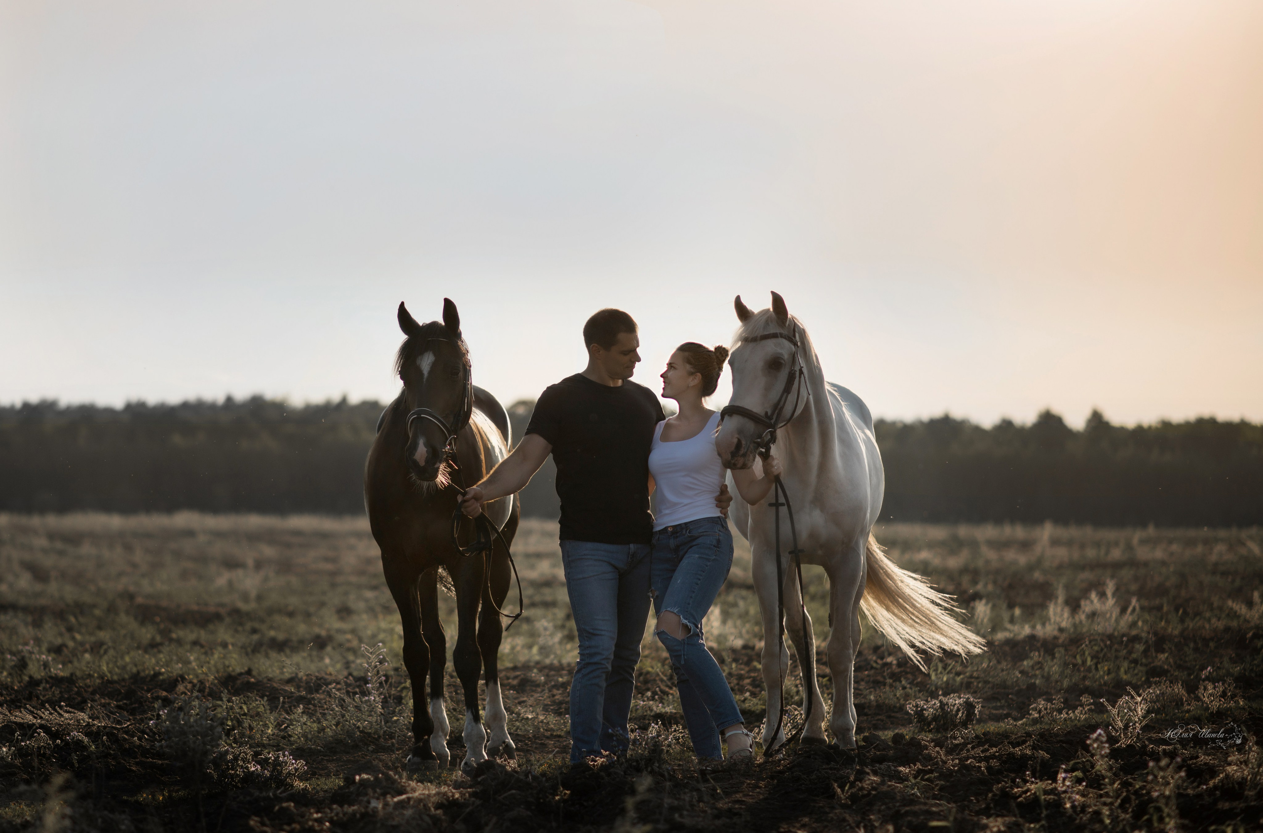Кристина и Илья, Каспиец и Багрец. Конный фотограф в Саратове Юлия Иванова