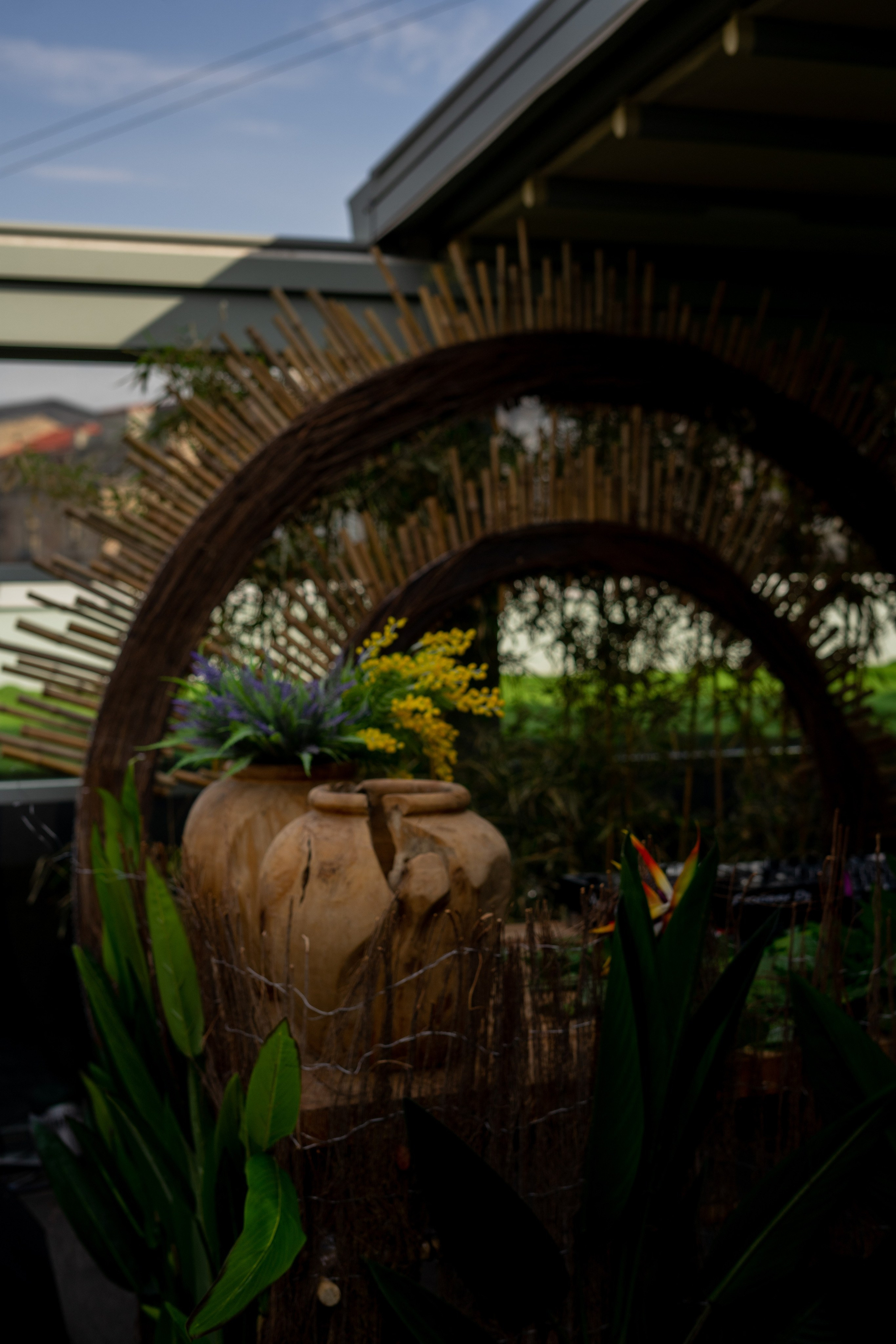 Master class from a florist. Портретный и семейный фотограф в Мариуполе, РФ. Даша Жогло