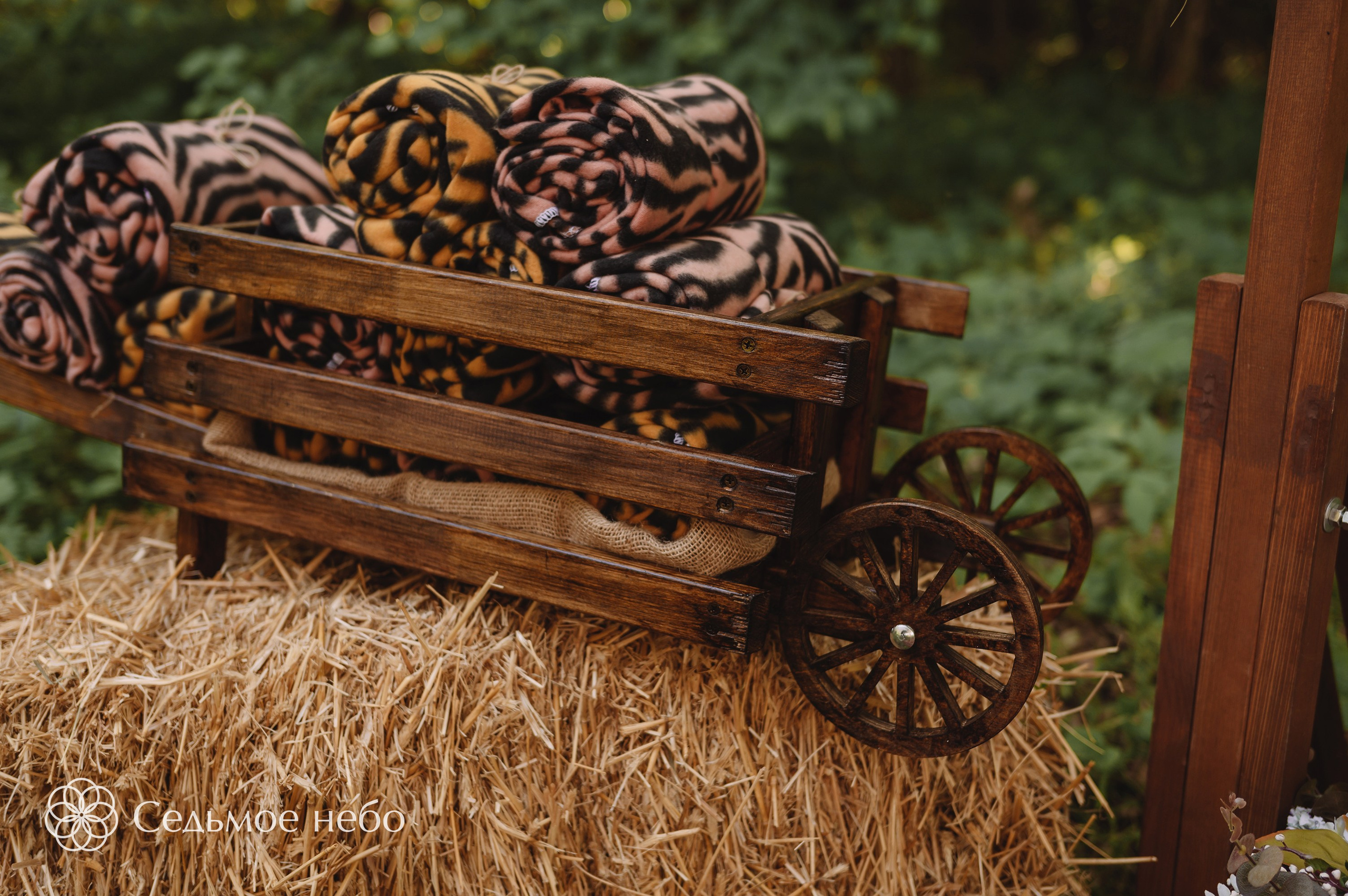 Николай & Елена. Студия декора Седьмое небо