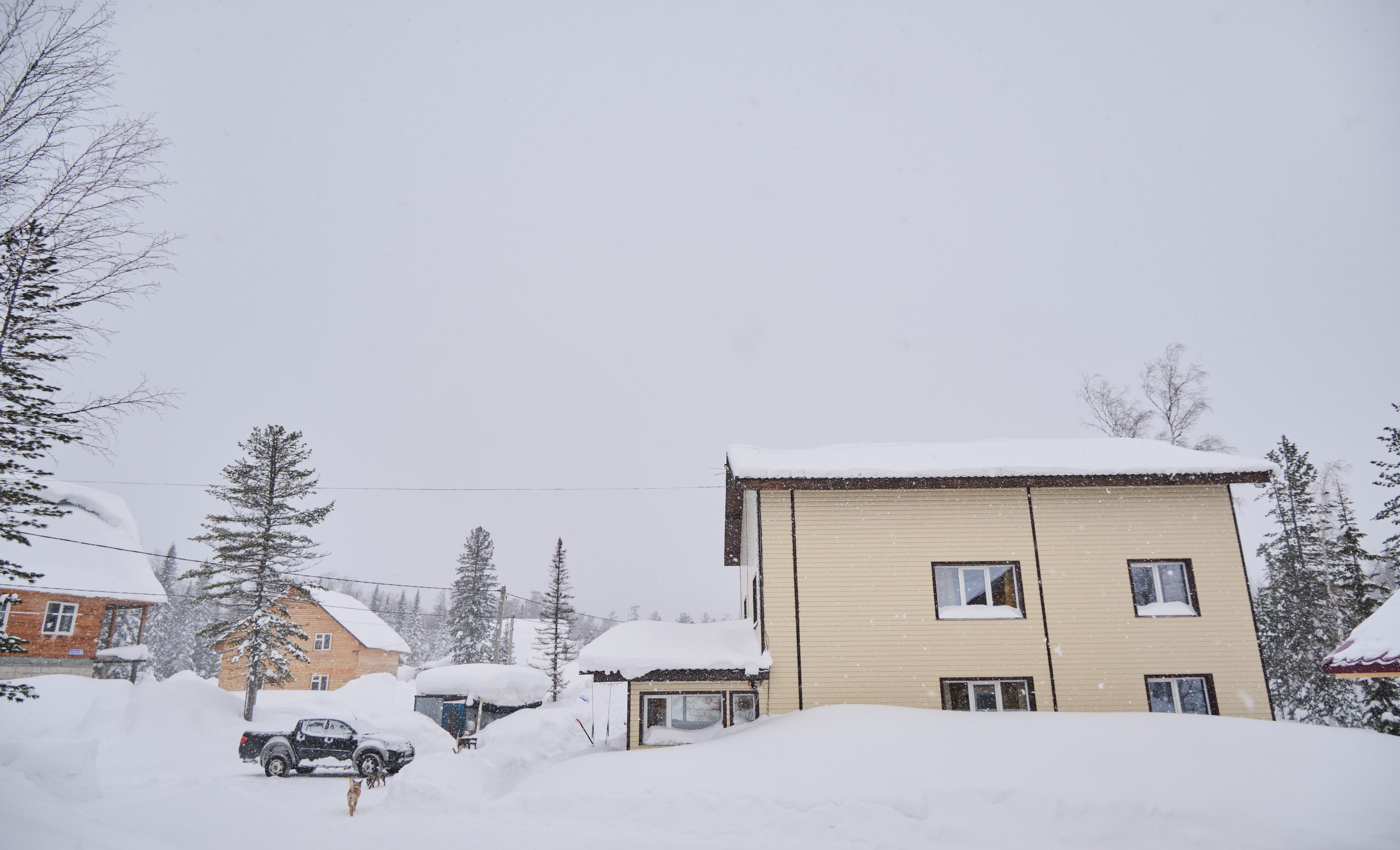Свободная 8 Дом 1. Свадебный и семейный фотограф в Новокузнецке Иван Иванов
