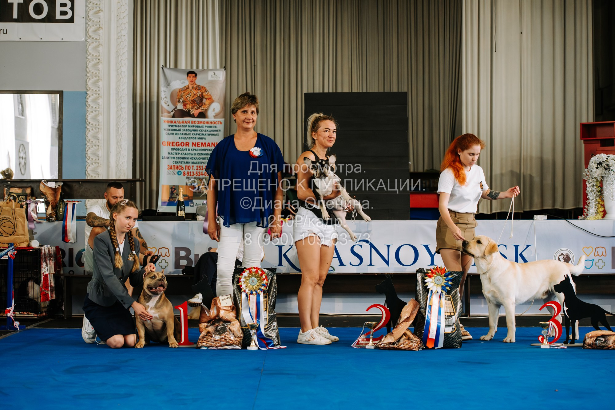 Национальная выставка собак всех пород ранга САС-IKU «Кубок Красноярск. Фотограф Диана Оленина Красноярск / Братск