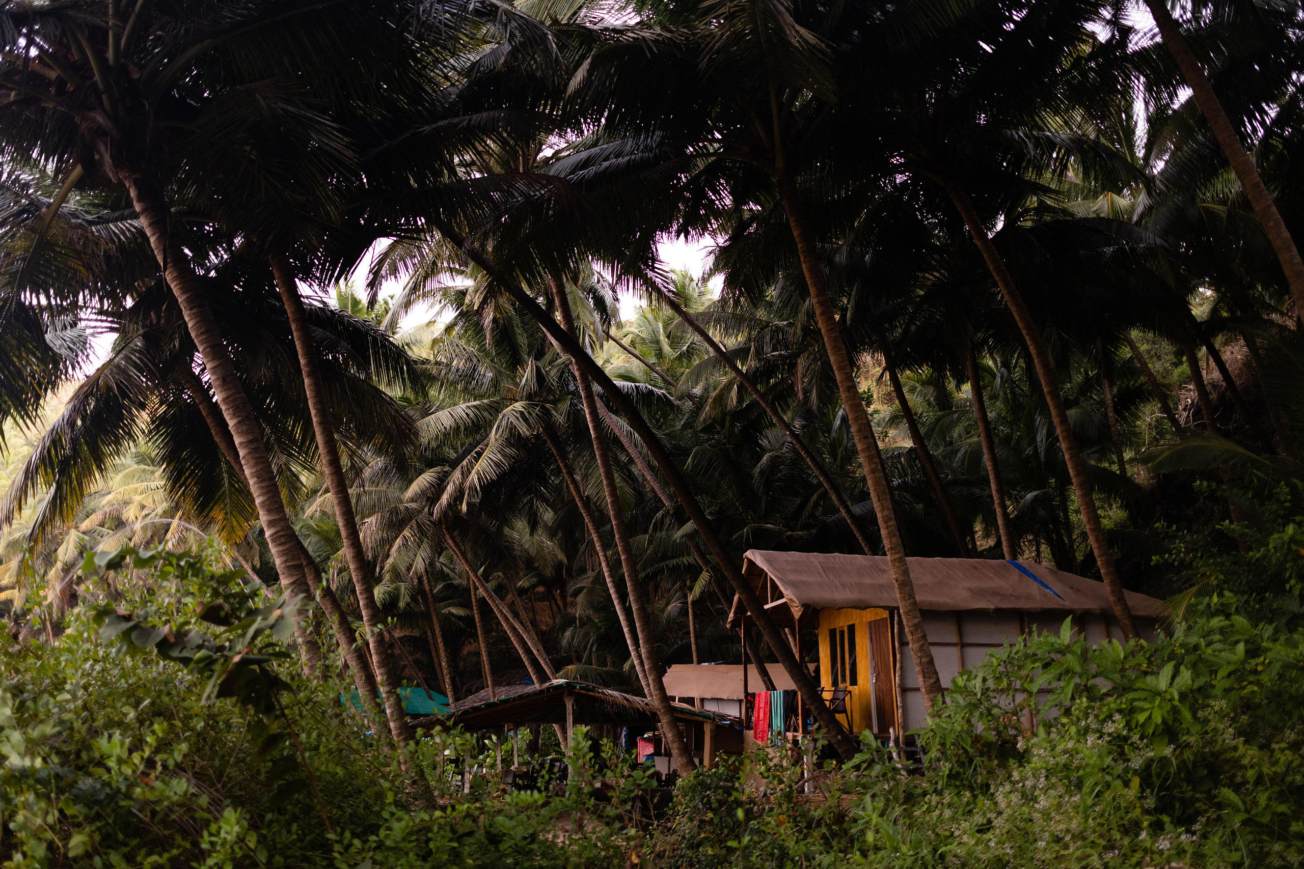 ГОА 2024. Руслан Плахтеев