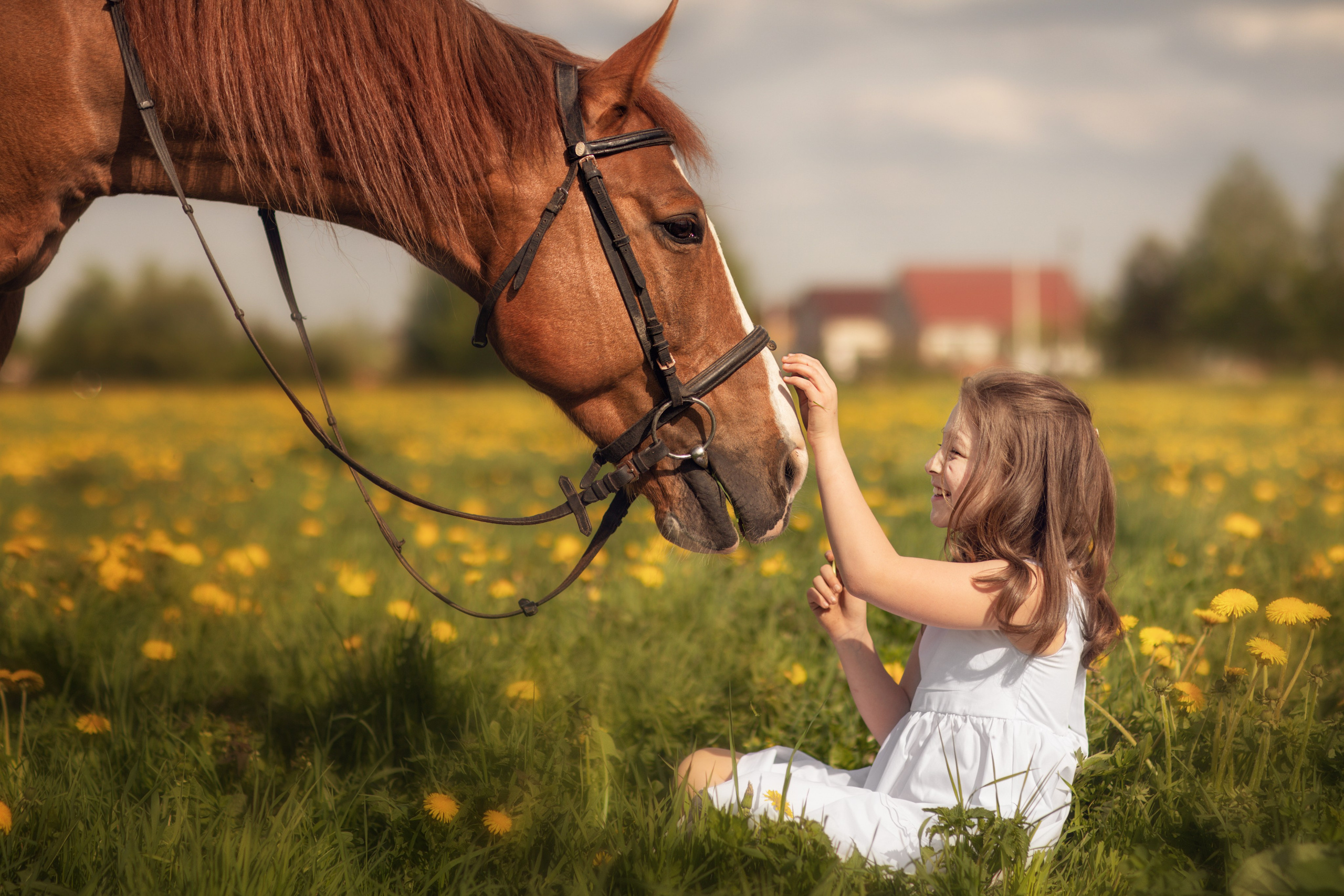 Фотосессия с лошадьми. Фотограф Санкт-Петербург Елена Мухина