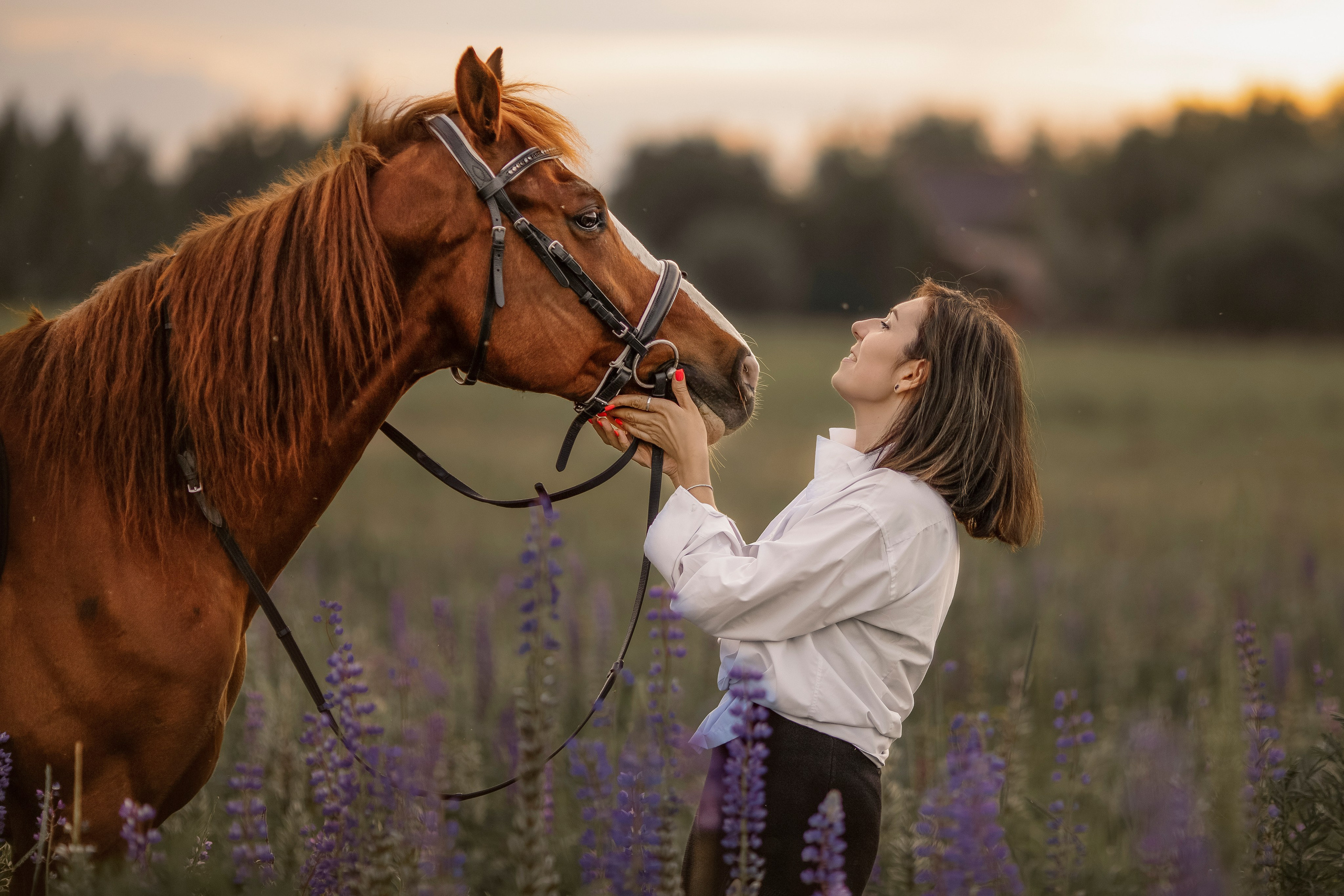 Съемки с лошадьми. Семейный фотограф Москва и область Дербунова Елена