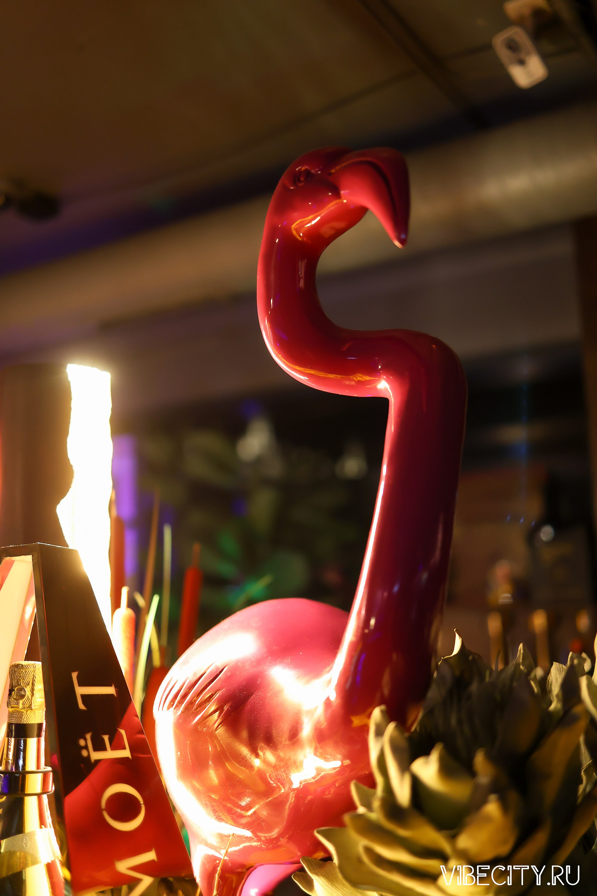 DOUBLE U. VIBECITY.RU Вайб Сити Ру Фоторепортажи Фотоотчеты Калининград