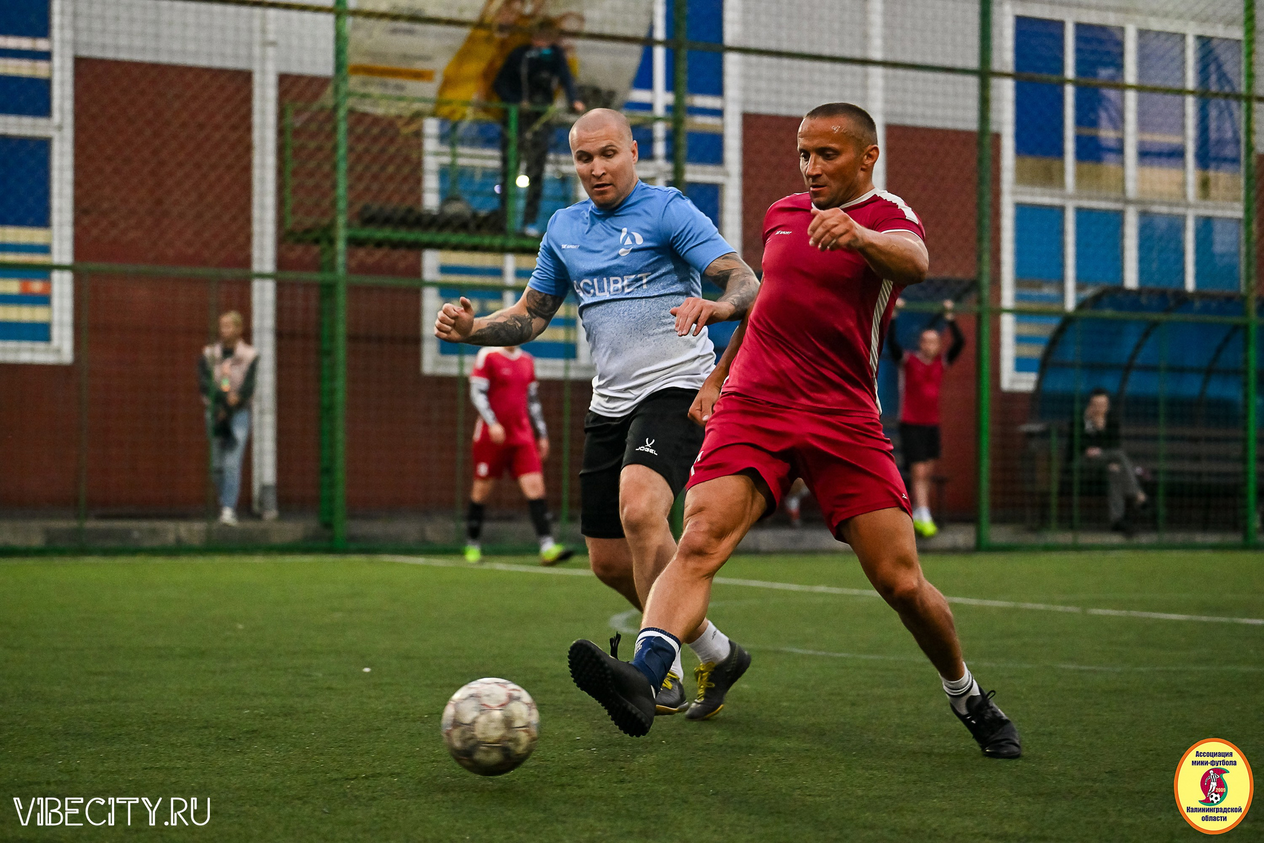 ПЛЕЙ-ОФФ КОРПОРАТИВНОЙ МФЛ И КУБКА МФЛ. VIBECITY.RU Вайб Сити Ру Фоторепортажи Фотоотчеты Калининград