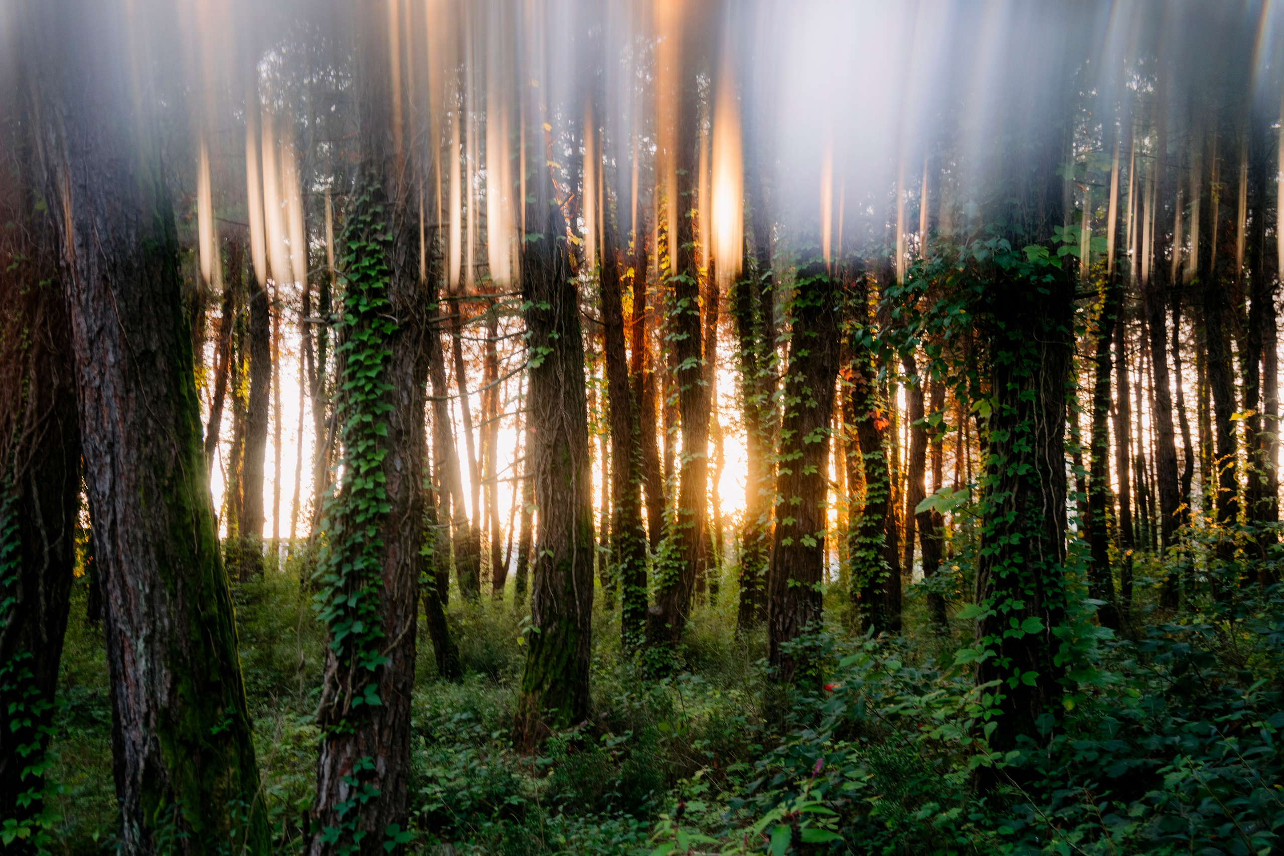 Абхазия. Iraogo